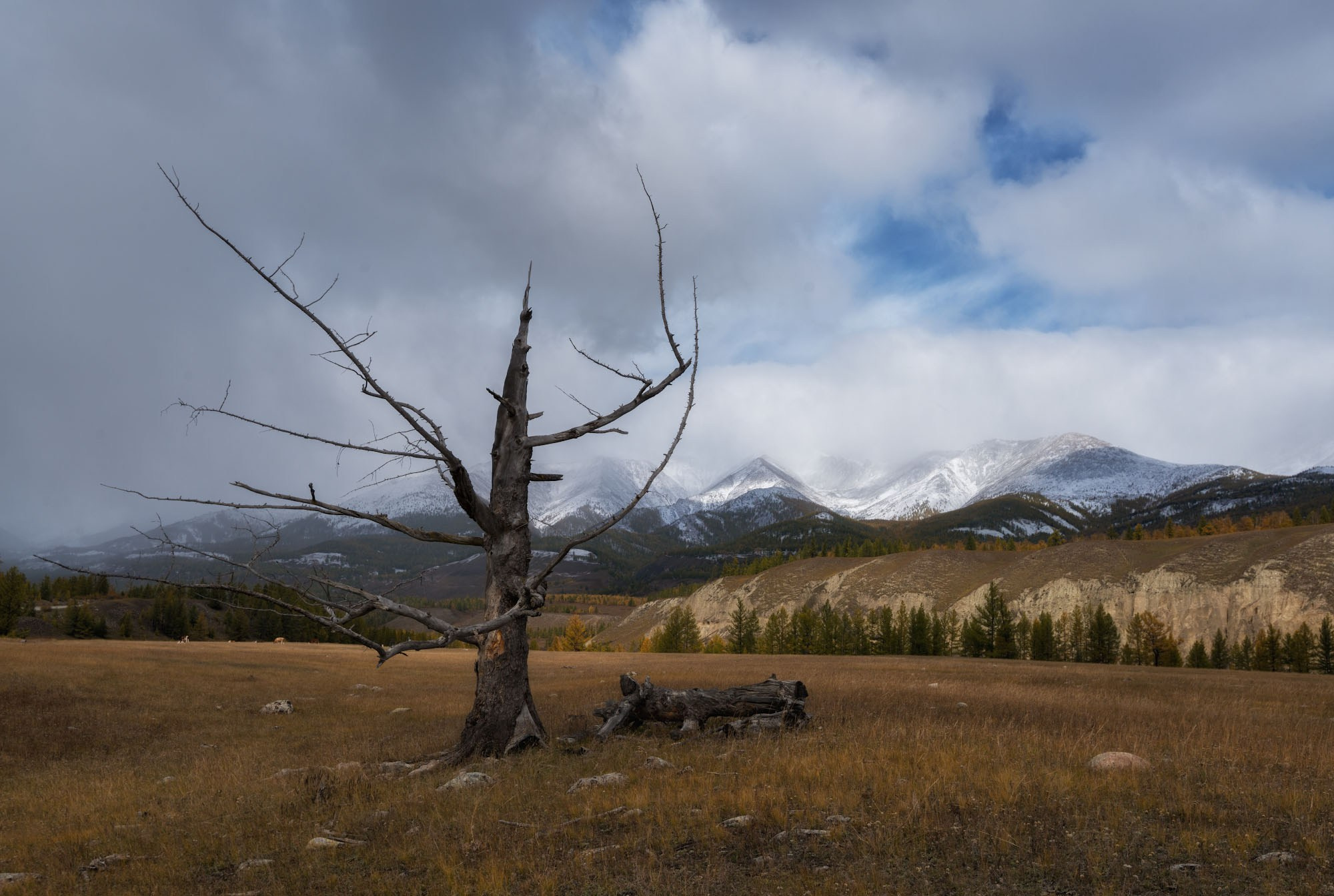 Фотографии Восточный Саян