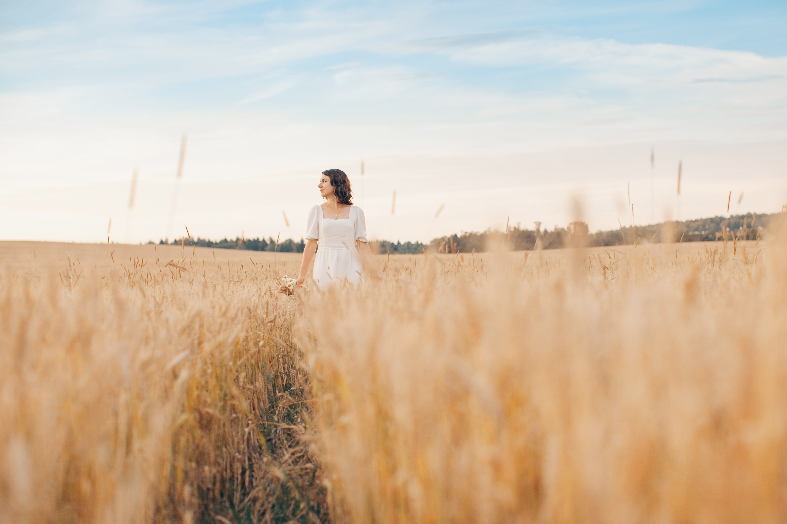 Семейная фотосессия в поле на закате. Фотограф Ольга Ефремова
