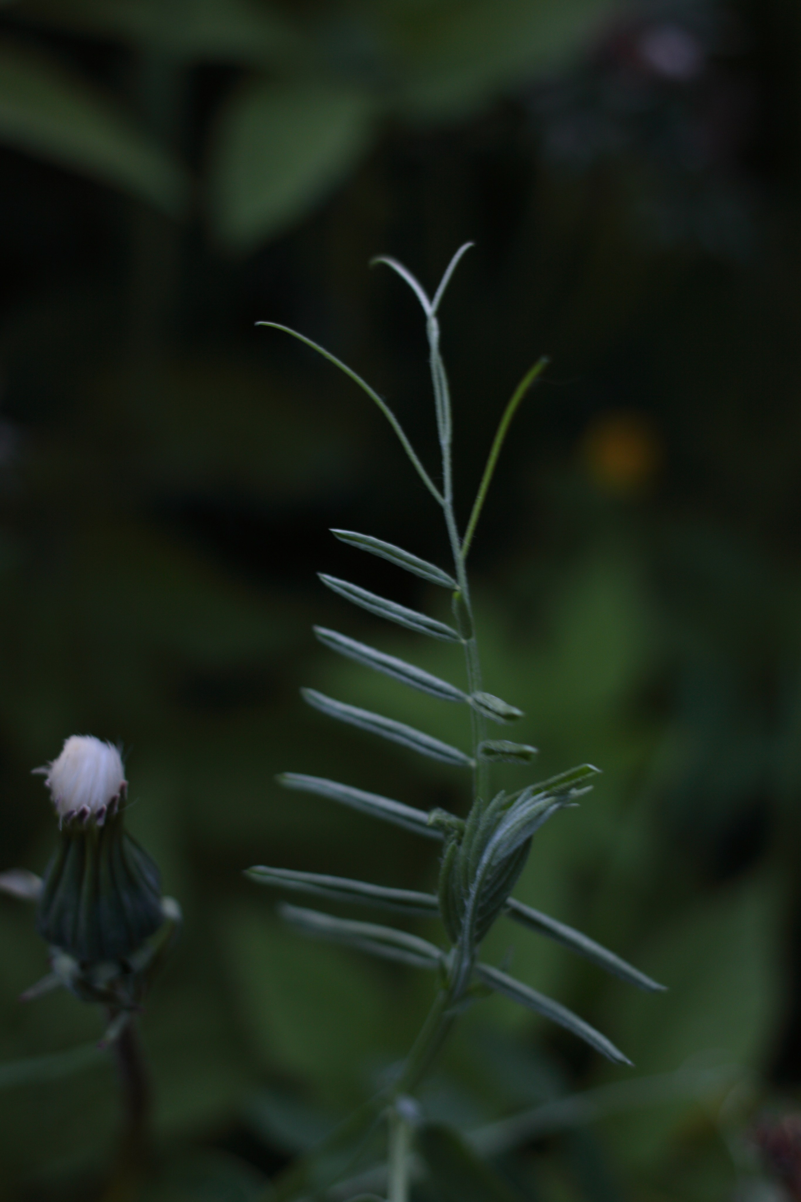 Старое природное, отбирала Katamount (Катерина Горохова). Главная