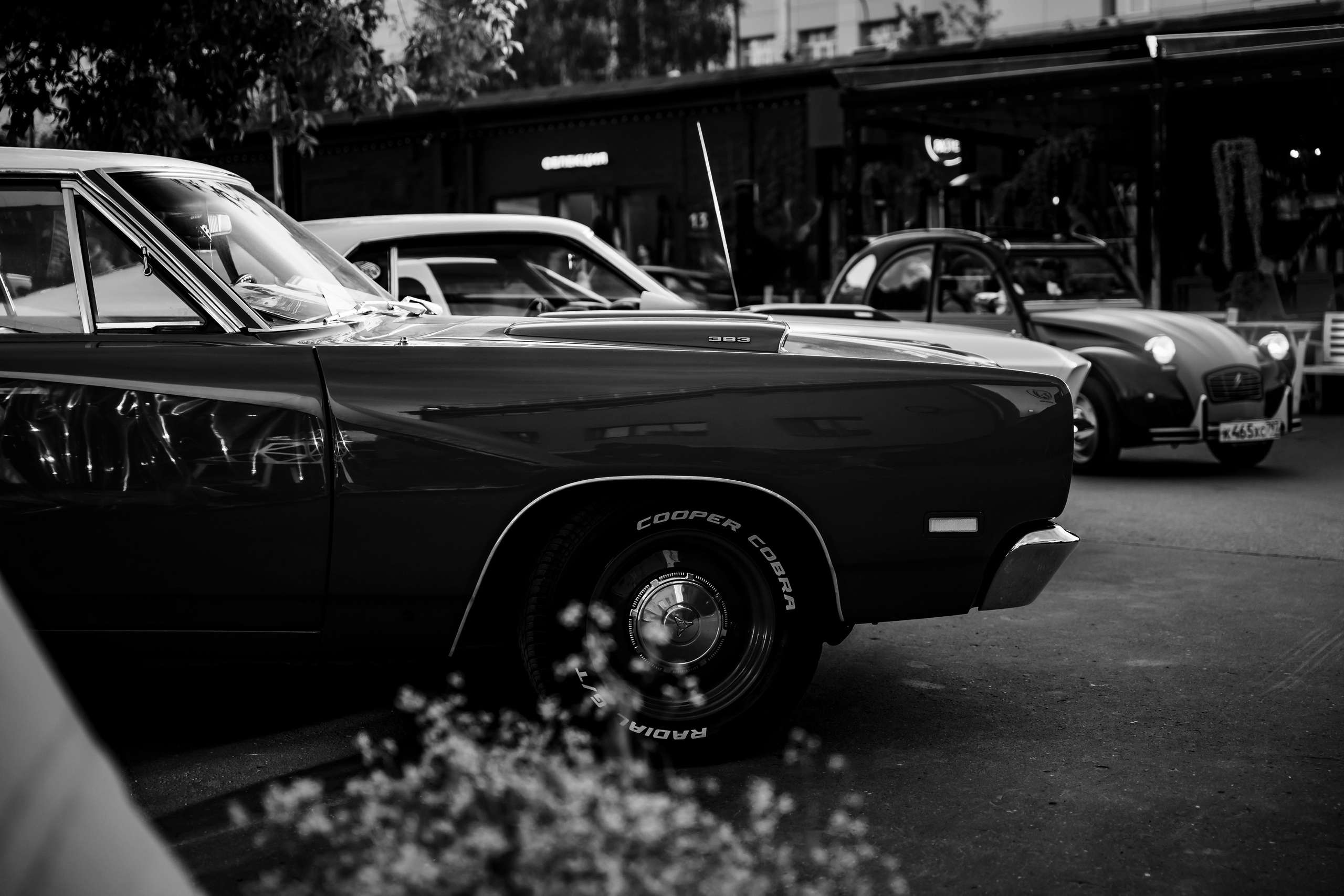 CARS. Видеограф и Фотограф в Москве