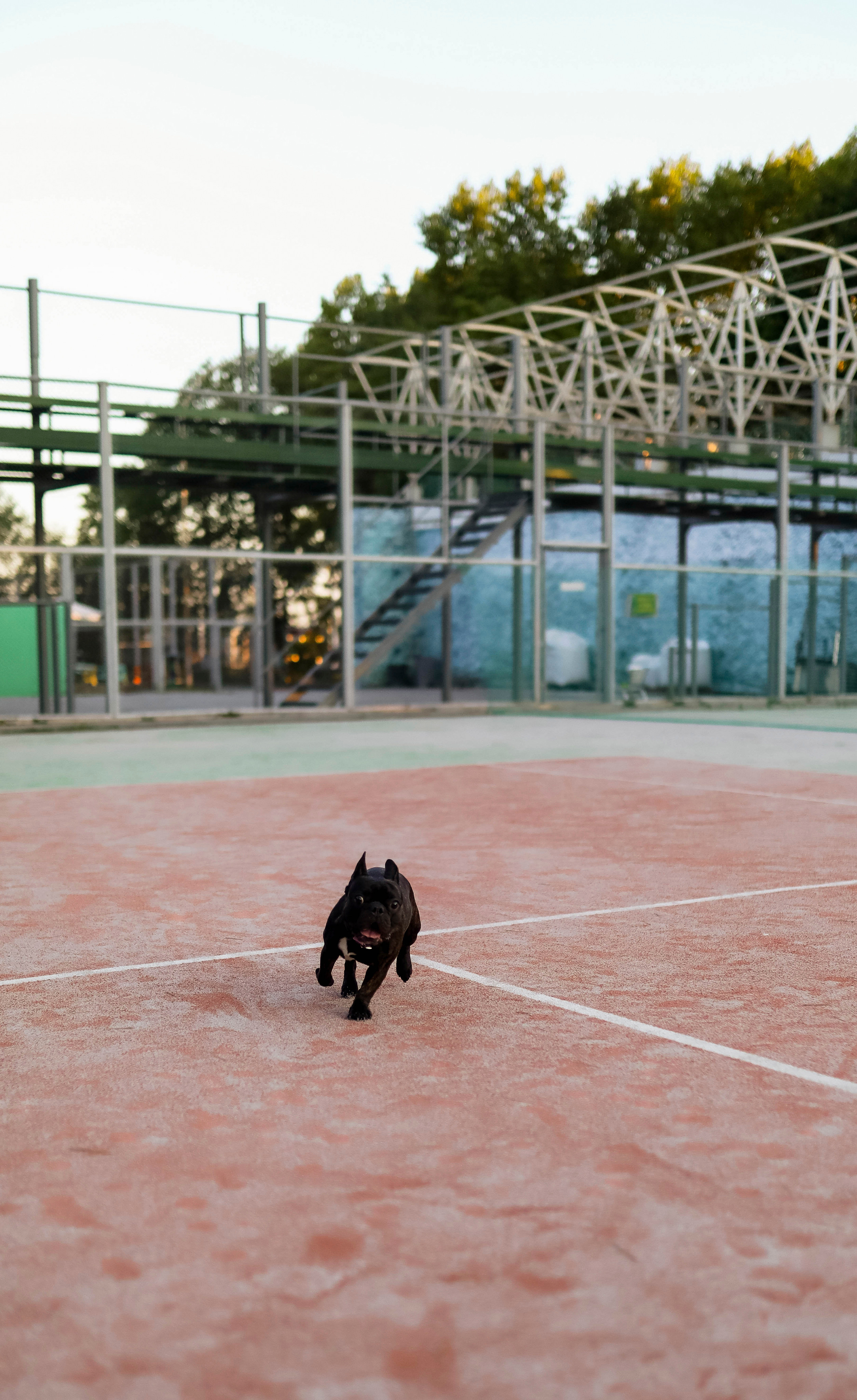 Андрей и Ангелина. ФОТОГРАФ ХАБАРОВСК АНАСТАСИЯ РАЧЕНКОВА