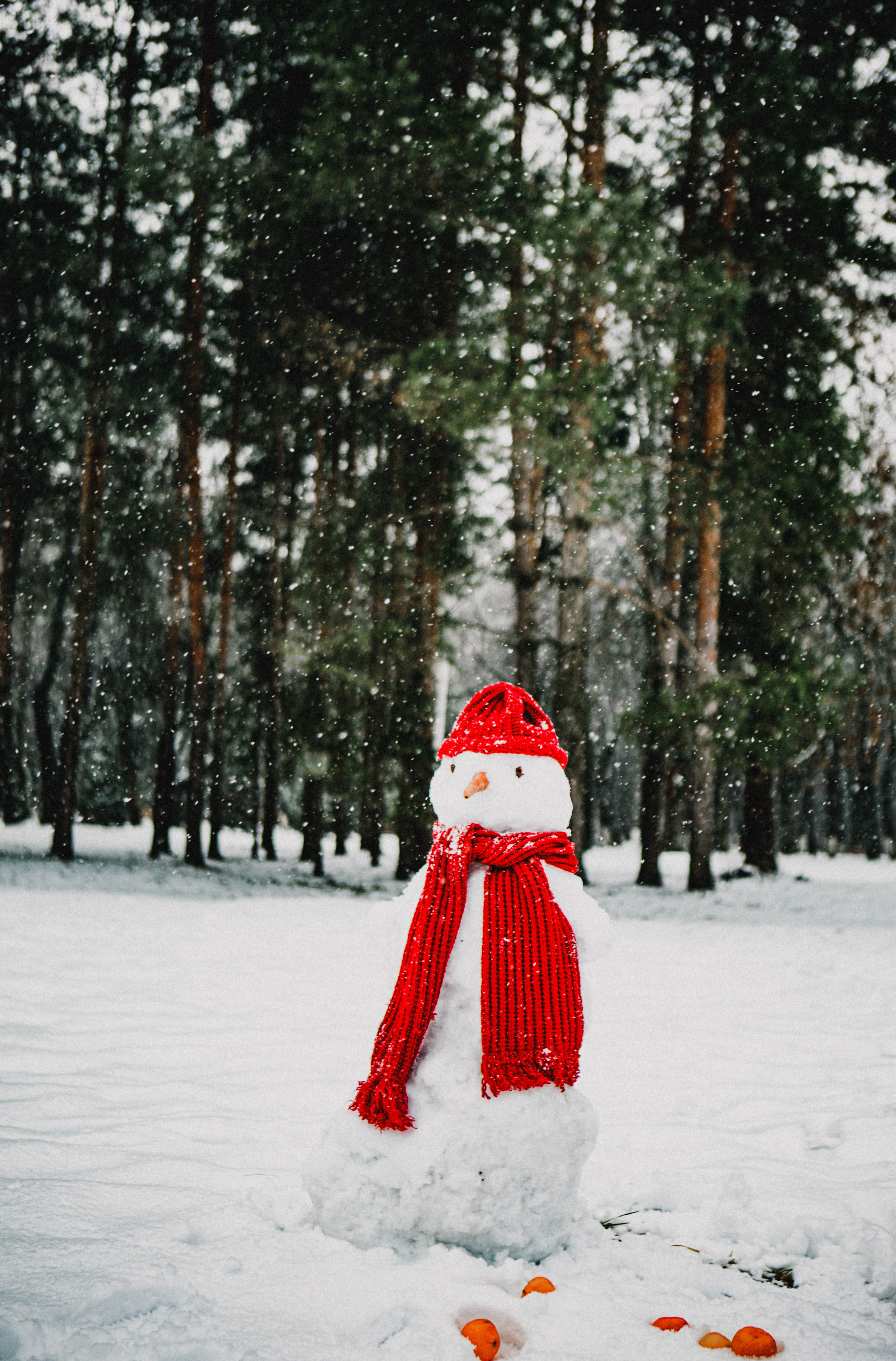 Настя ❄️ Ёлки-палки ❄️. Фотограф в Нижнем Новгороде