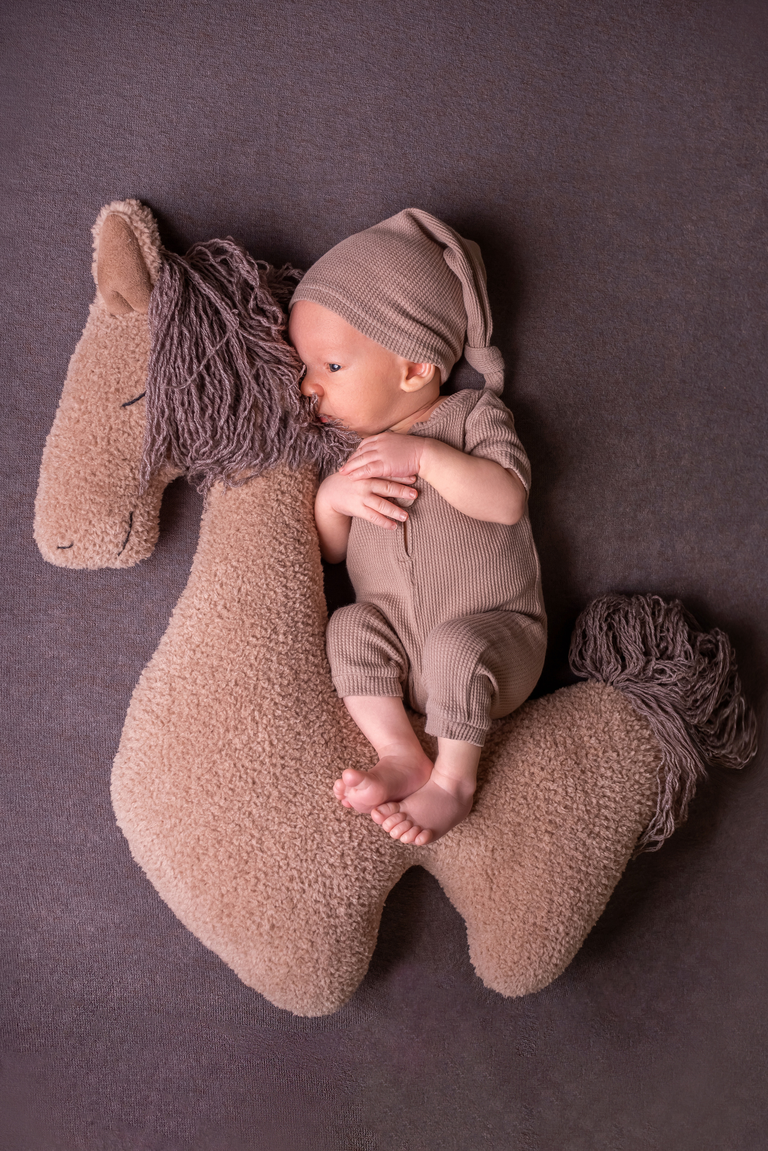 Лев. Детский фотограф новорождённых в Минске Боровик Екатерина