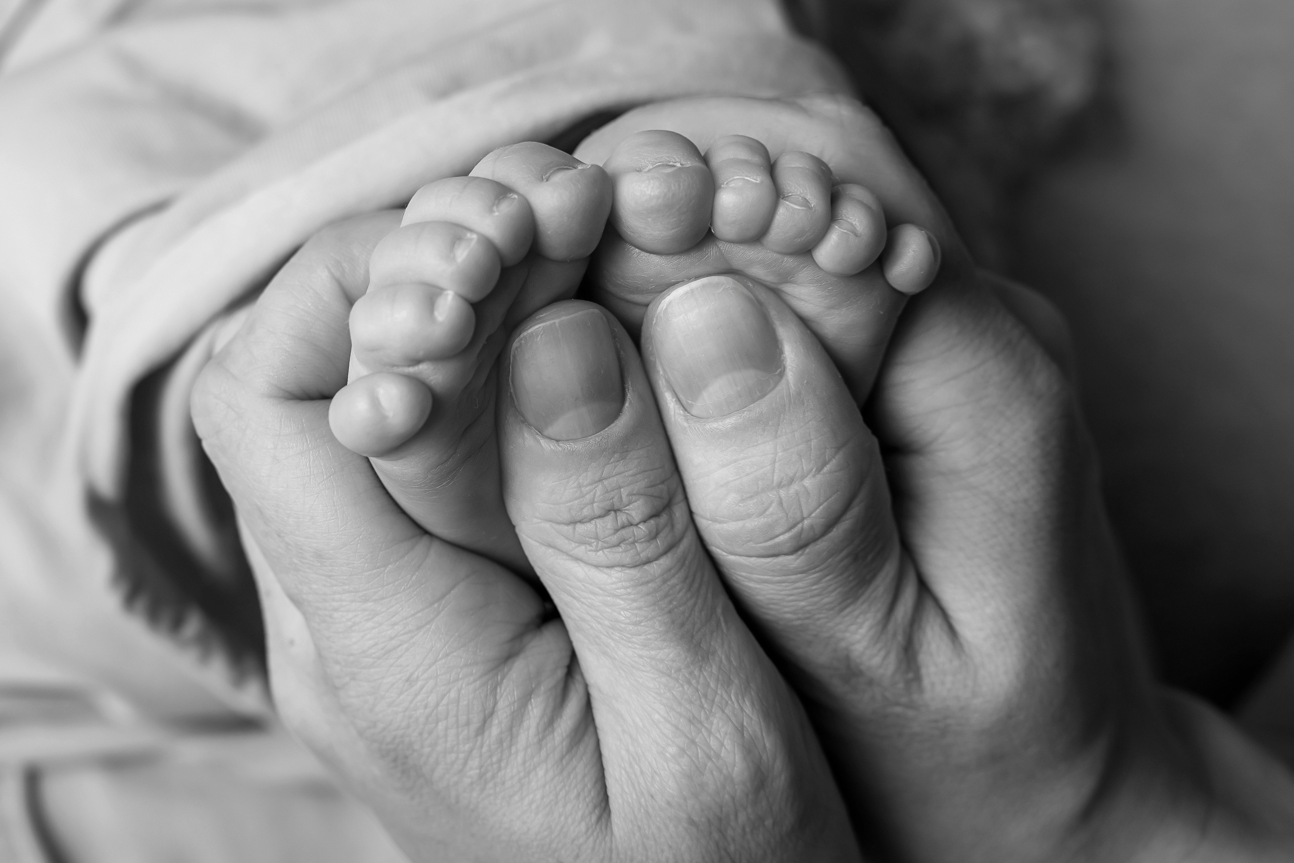 Лев. Детский фотограф новорождённых в Минске Боровик Екатерина