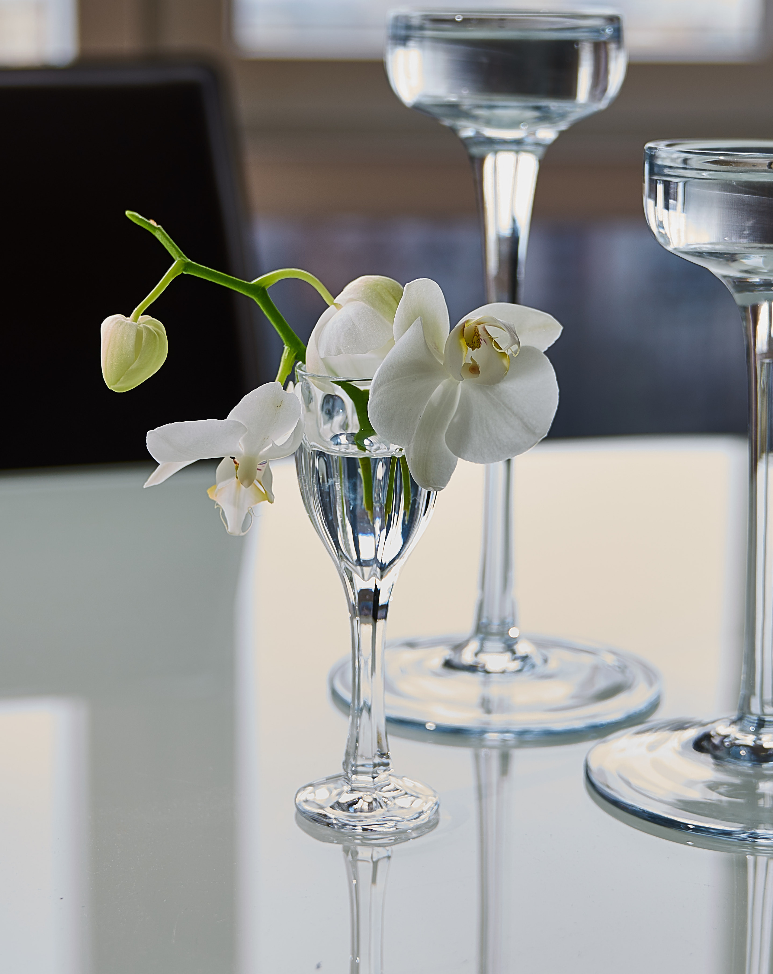 Фото до Года. Фотограф Михеев Андрей