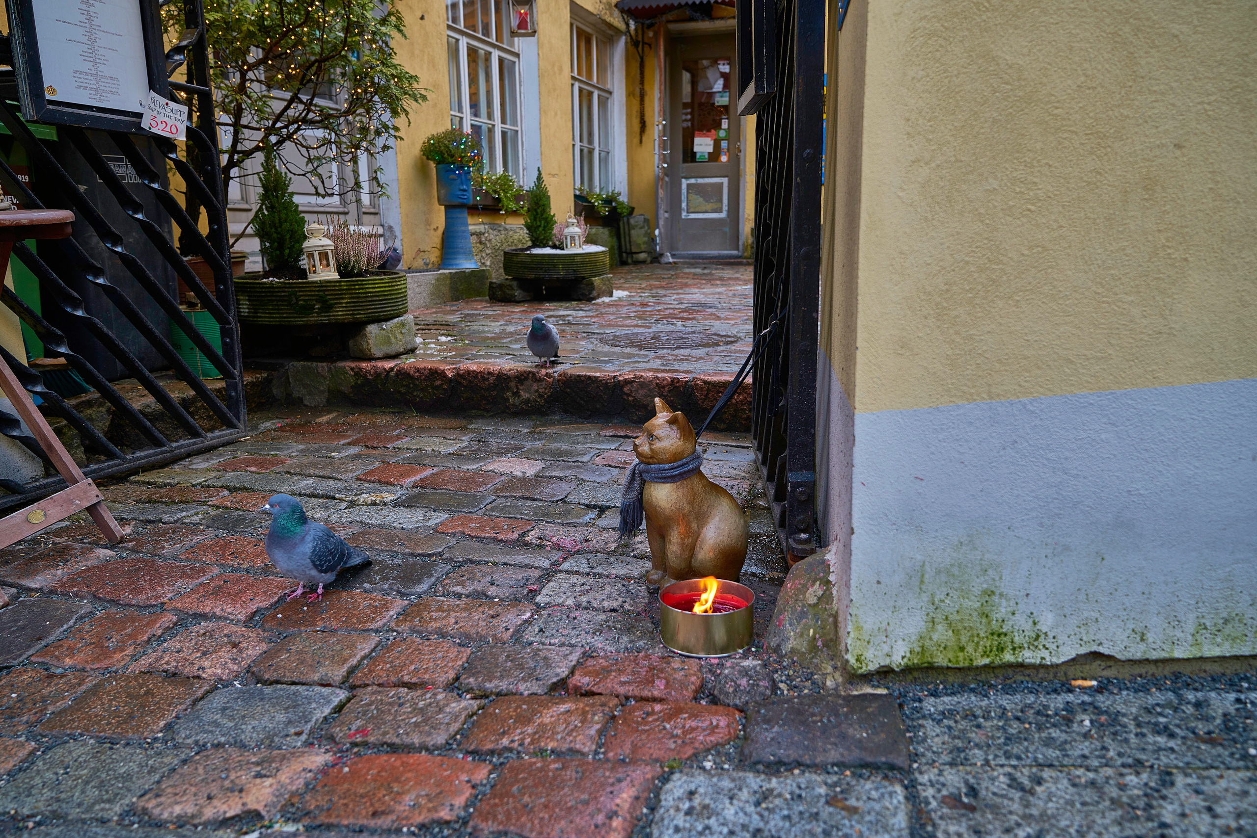Таллин. Фотограф Михеев Андрей