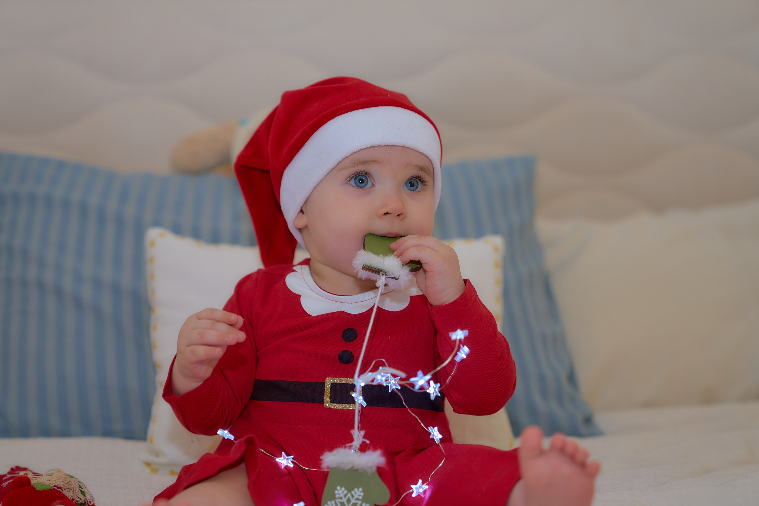 Фото до Года. Фотограф Михеев Андрей