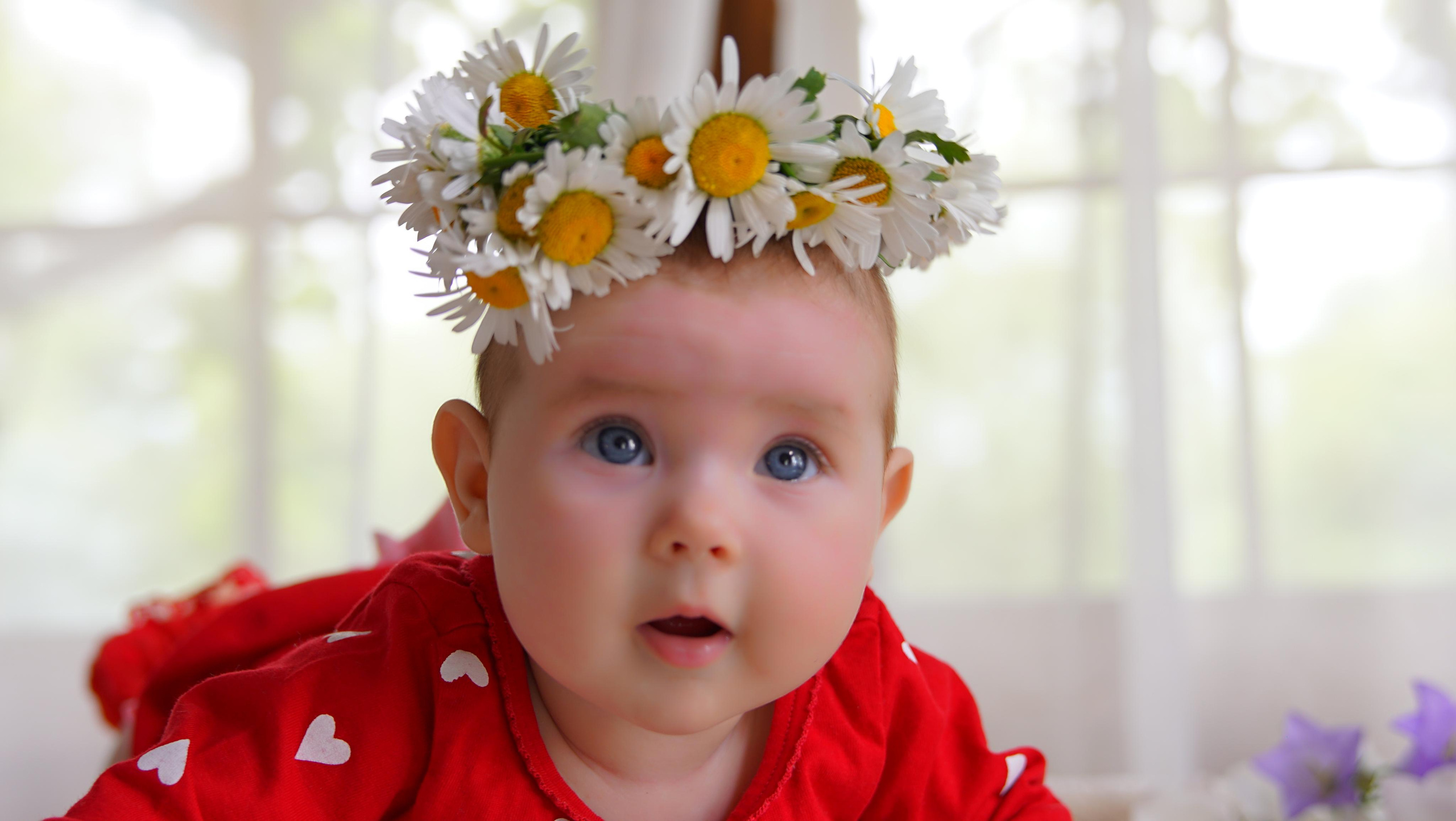 Фото до Года. Фотограф Михеев Андрей