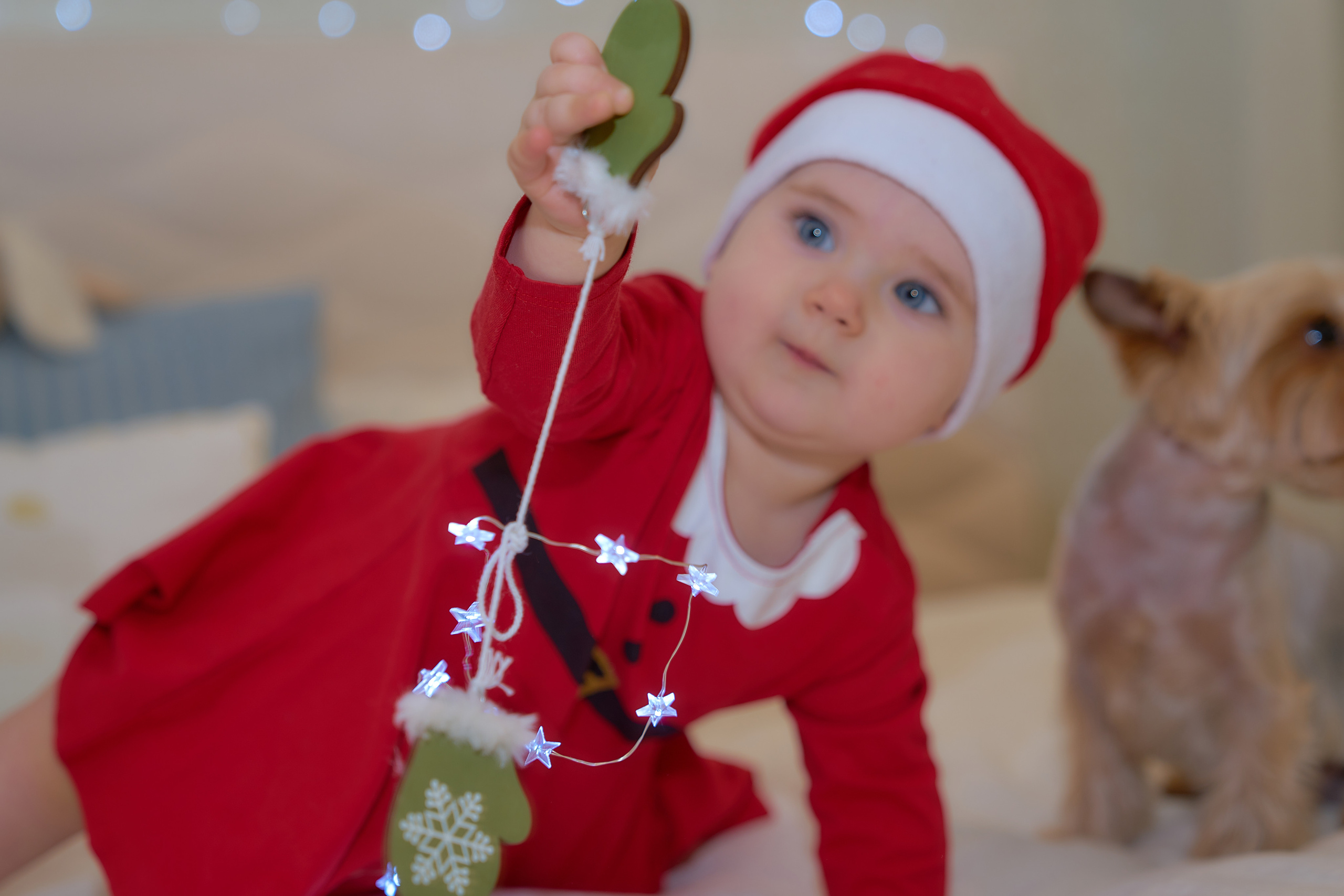 Фото до Года. Фотограф Михеев Андрей