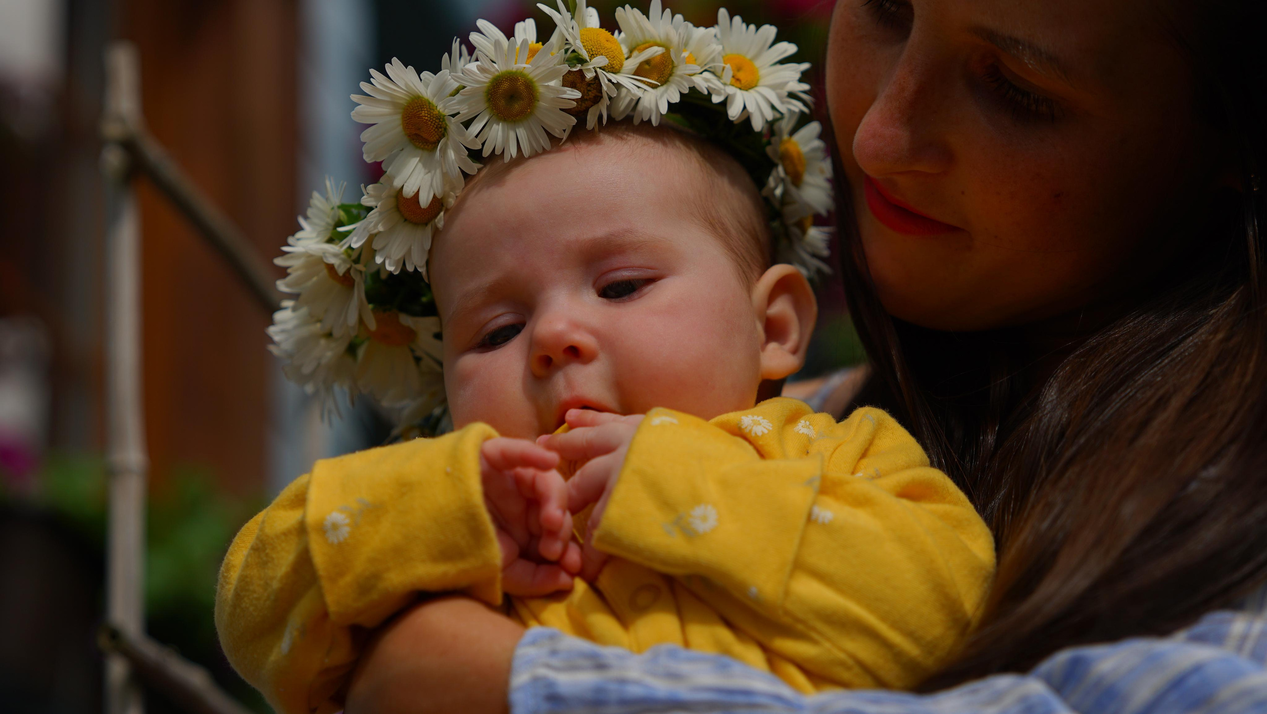 Фото до Года. Фотограф Михеев Андрей