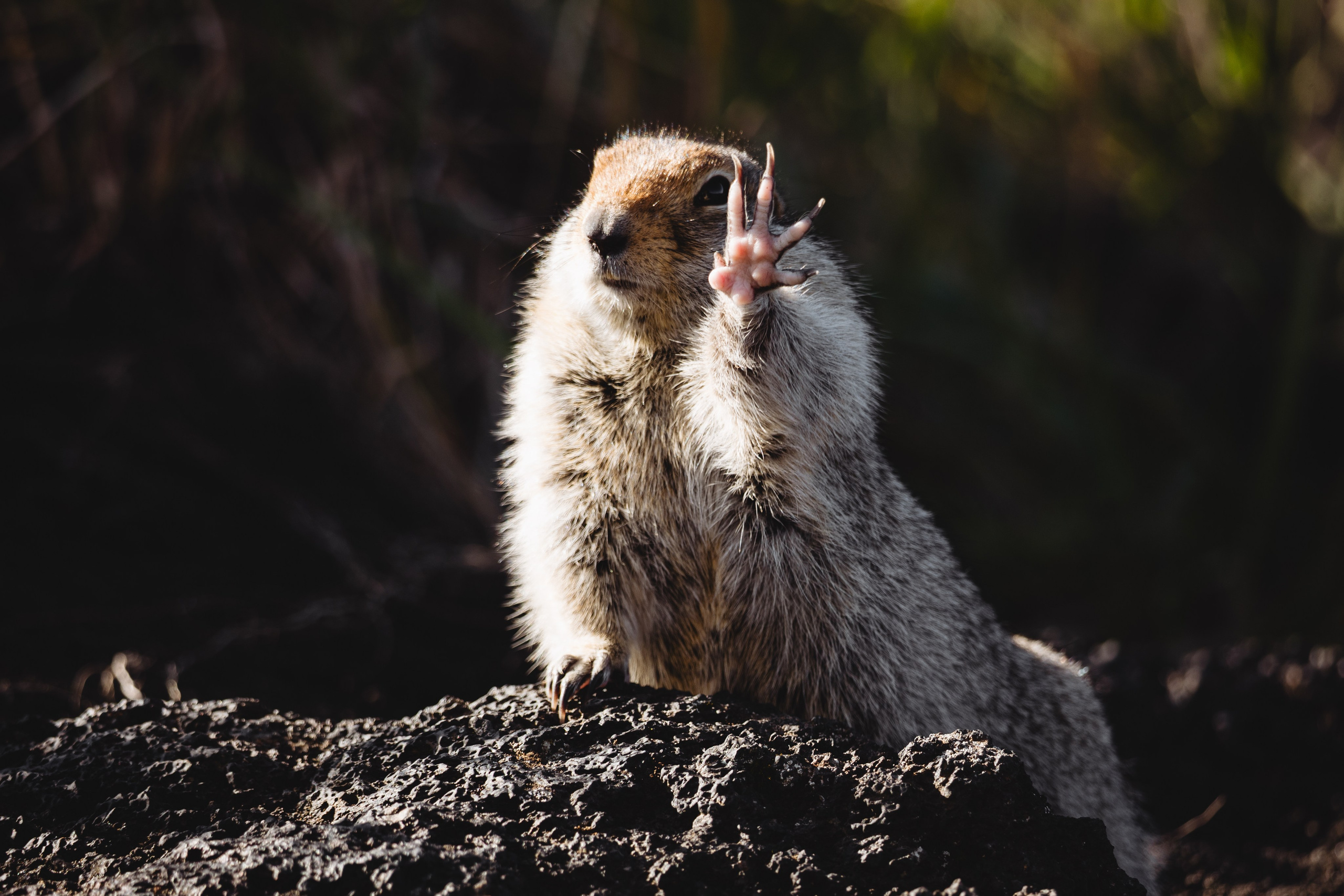 Репортаж туризм. Фотограф на Камчатке