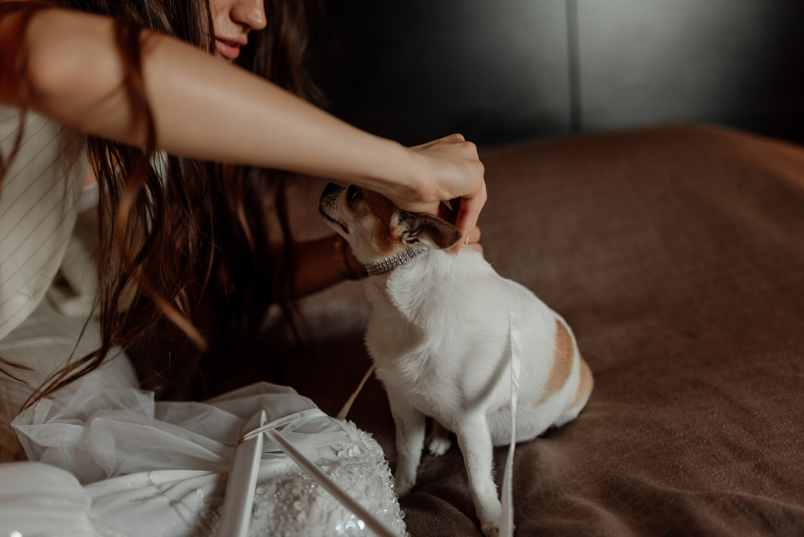 Степан и Анастасия. Свадебный и Семейный фотограф в Ярославле Алёна Колясникова