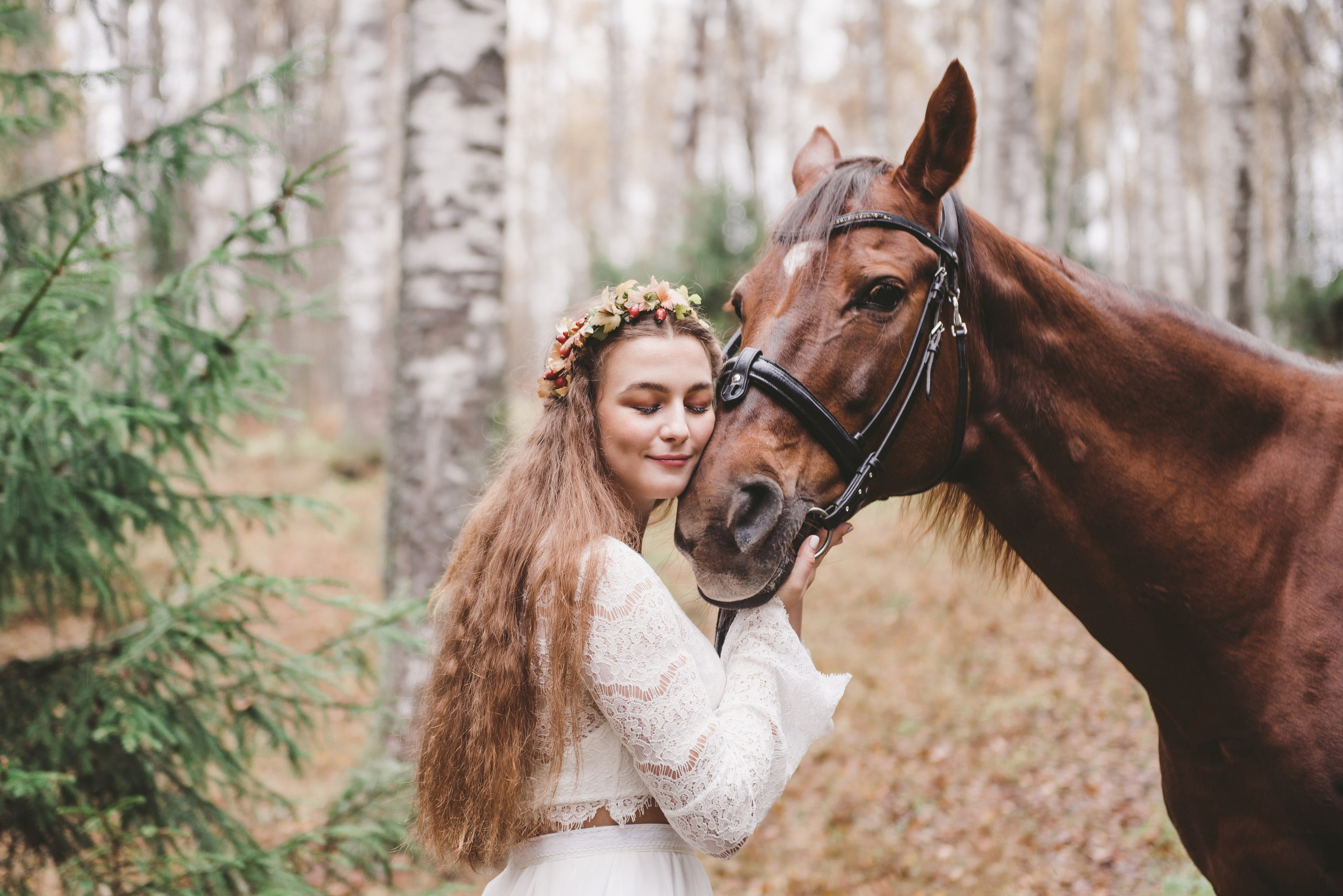 Лесная сказка с лошадками. Свадебный и семейный фотограф София Невская