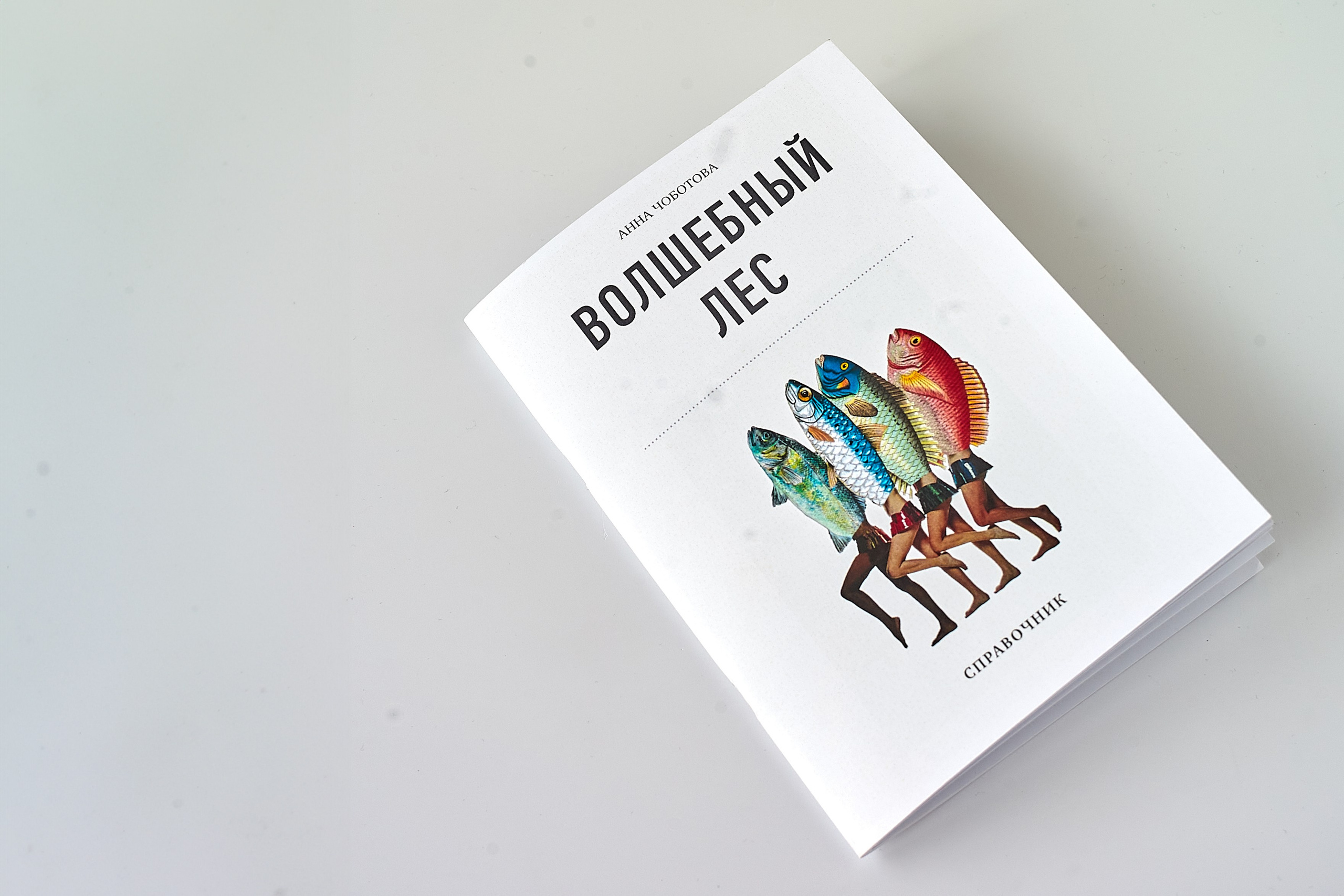 Guide to the Magical Forest