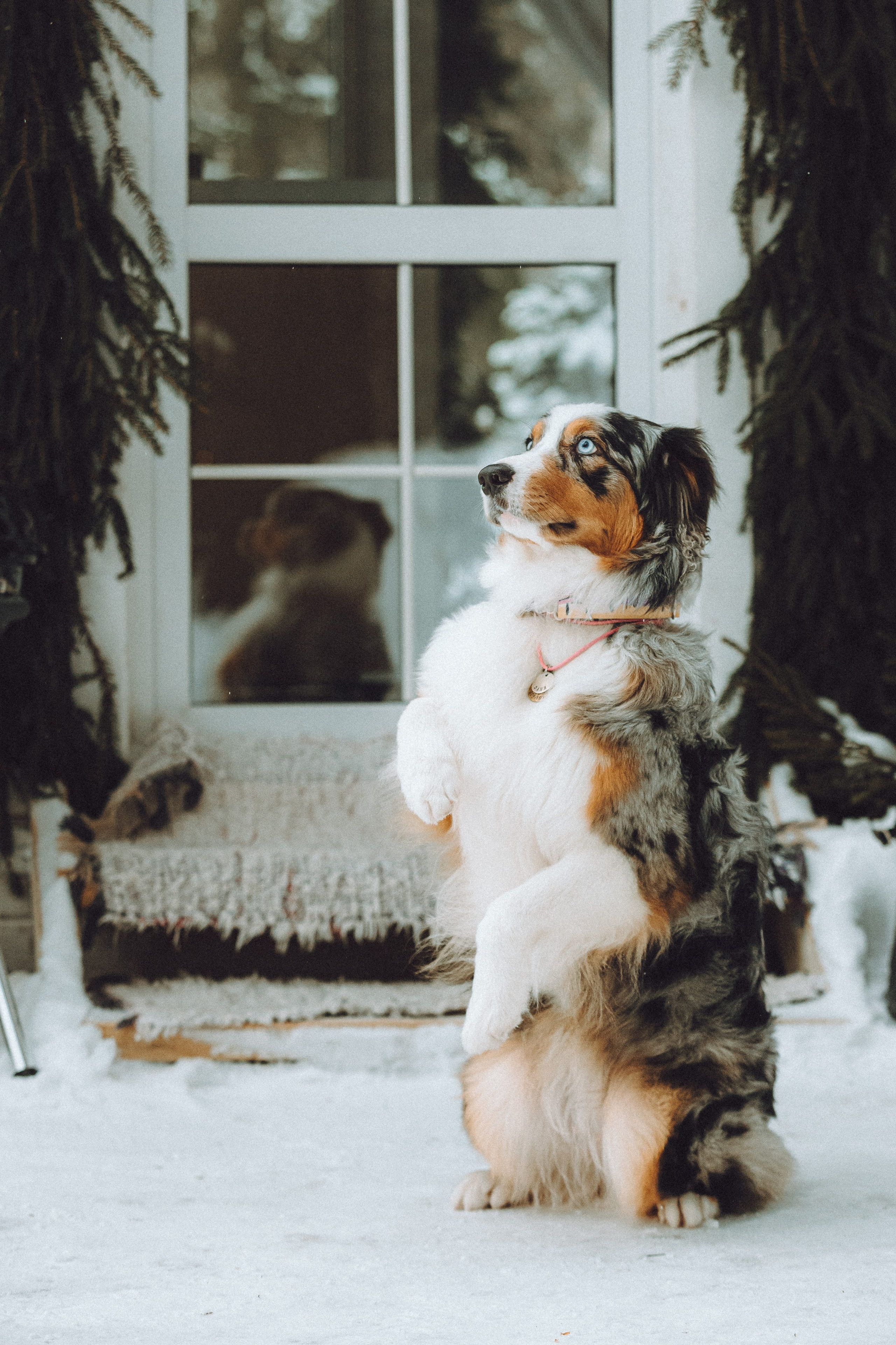 Фаня и ее семья