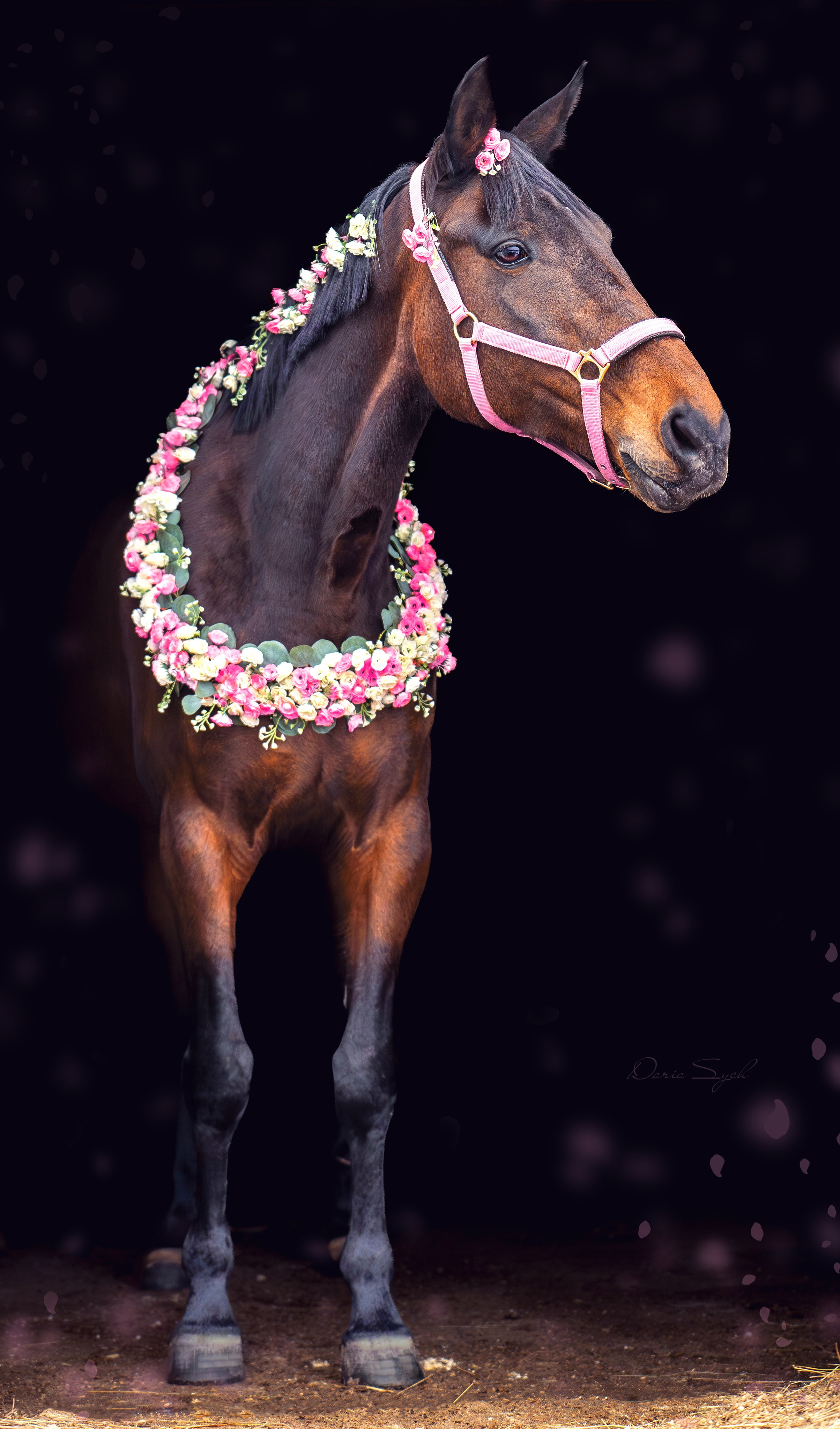 Весенний фото день. Фотограф Дарья Соколовская