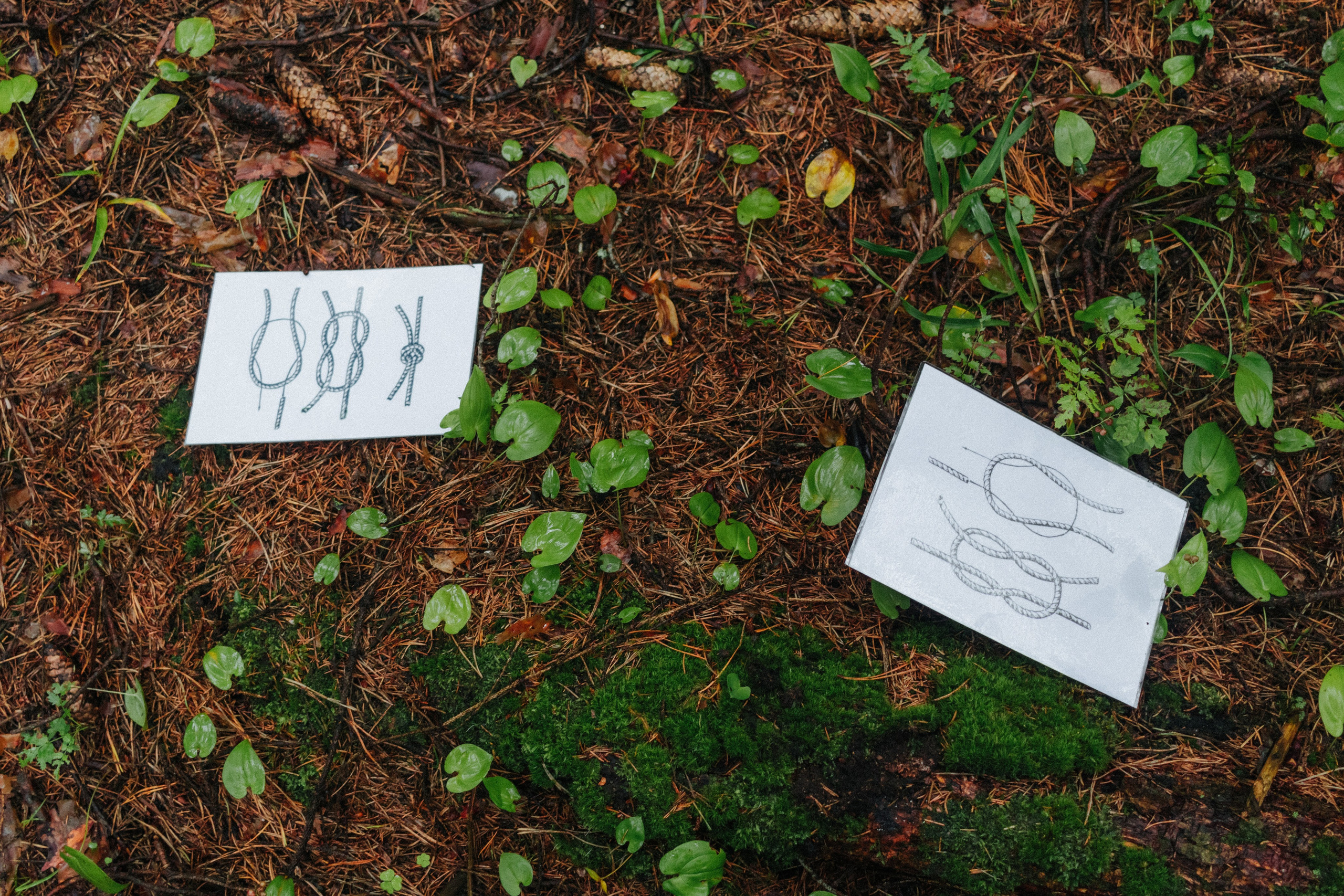 Детские мероприятия (квесты, лагеря, вечеринки). Коммерческий фотограф в Санкт-Петербурге (СПб) Екатерина Панчёха, Панчёшка