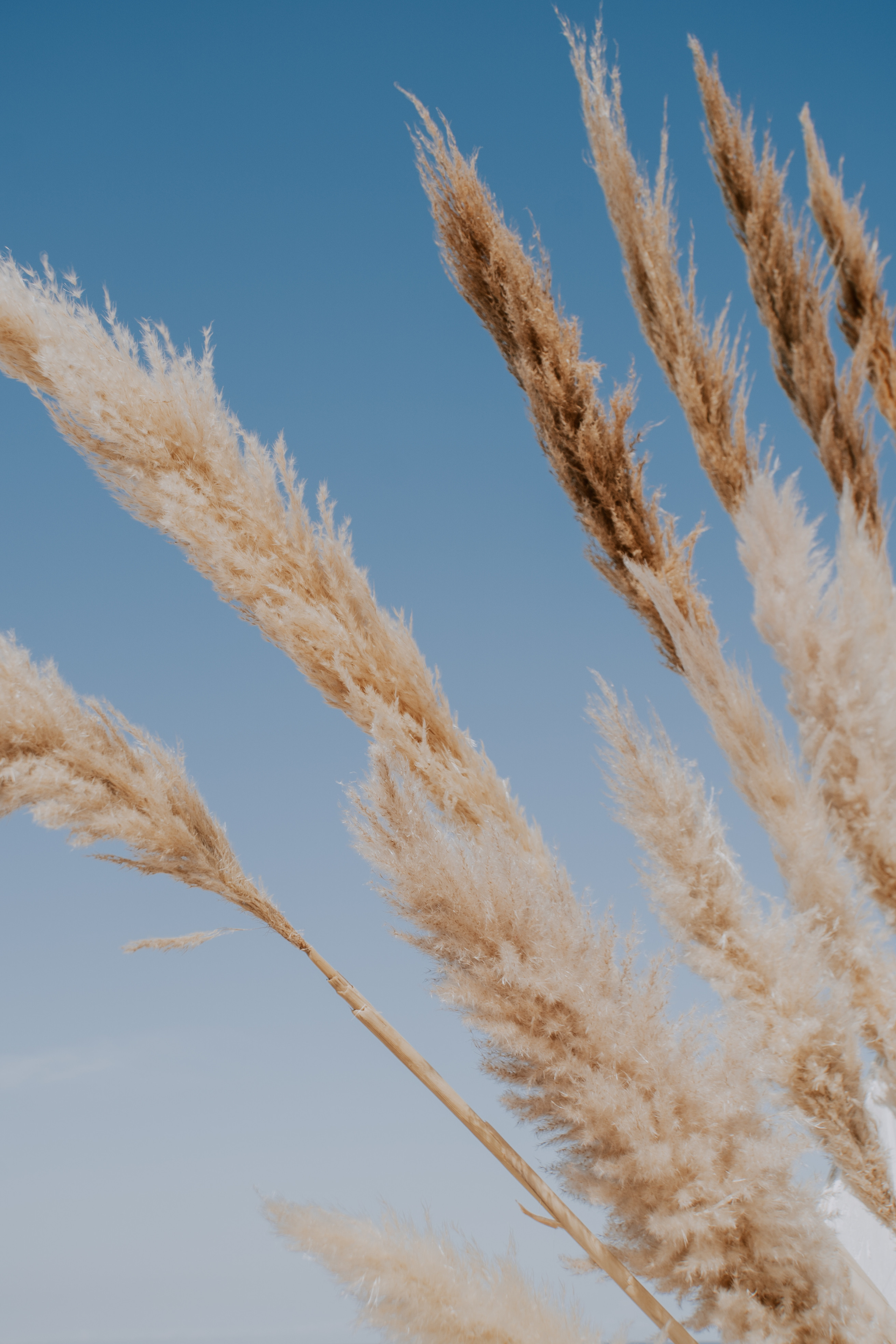 Costa soleggiata 09.09 @Julie_vershinia bazakomandor.ru. Love & Live photographer Злата Акимова