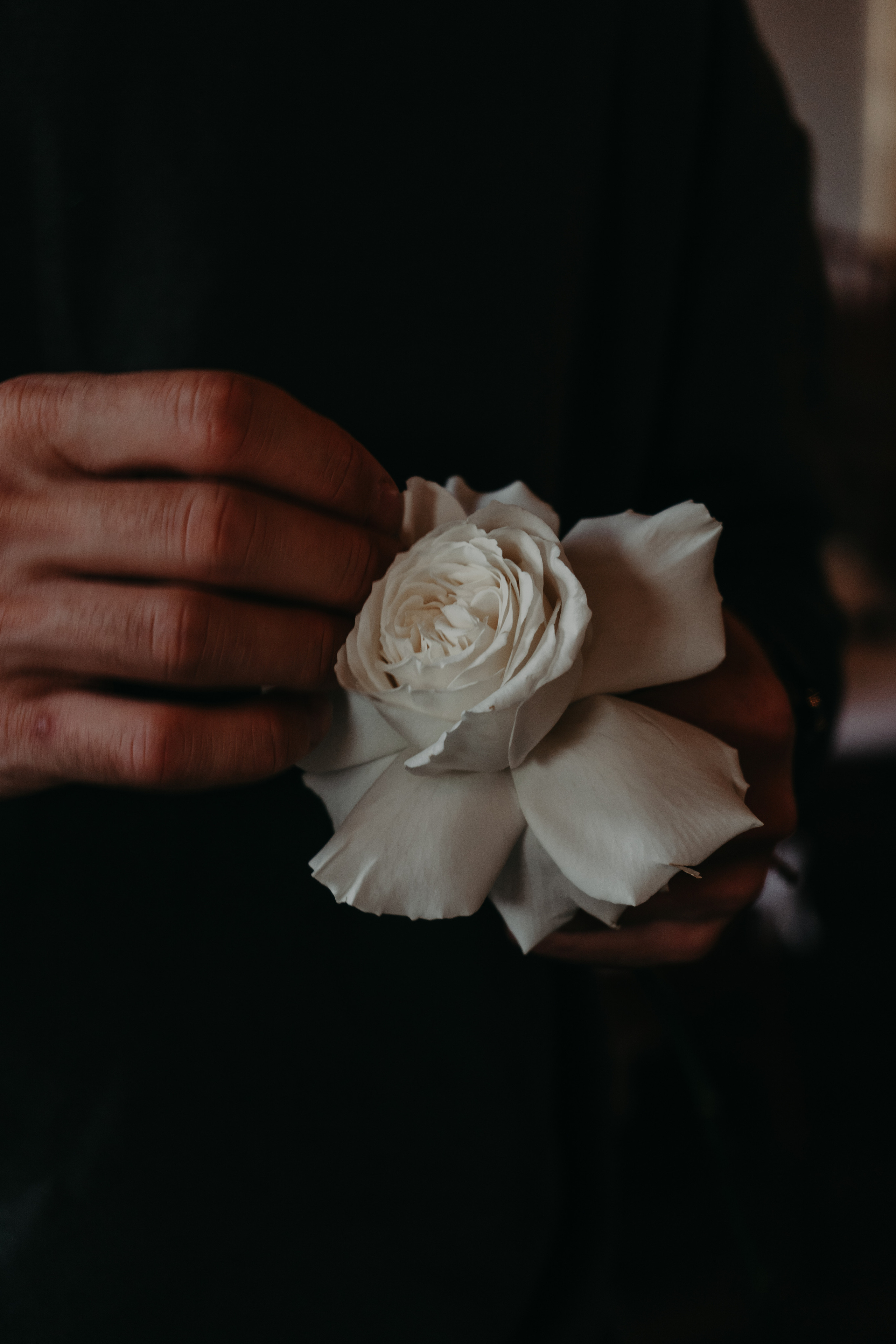 Matrimonio Bordeaux 26.09 @Pro.Sto.Decor vesenniy.com. Love & Live photographer Злата Акимова