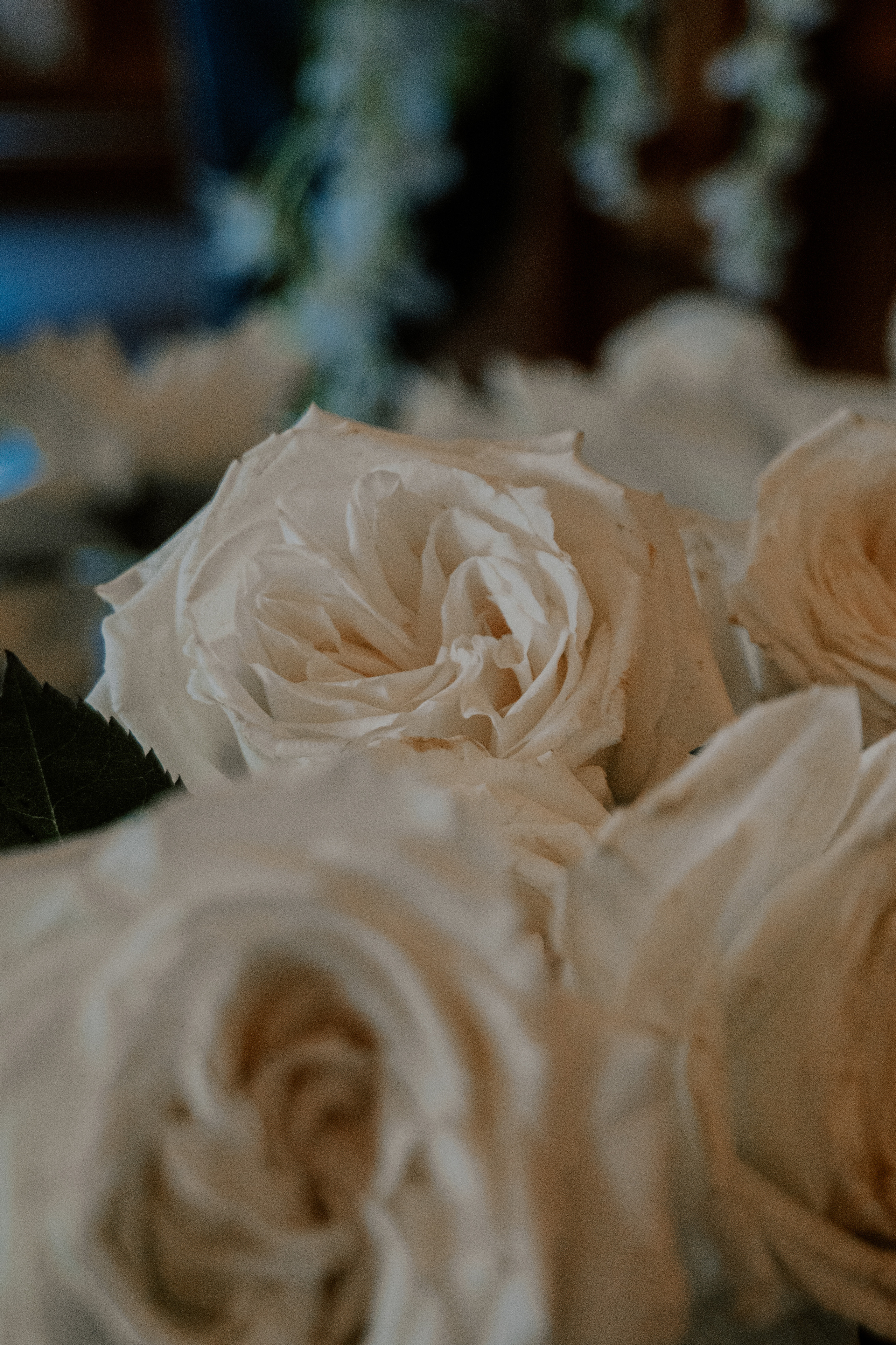 Costa soleggiata 09.09 @Julie_vershinia bazakomandor.ru. Love & Live photographer Злата Акимова