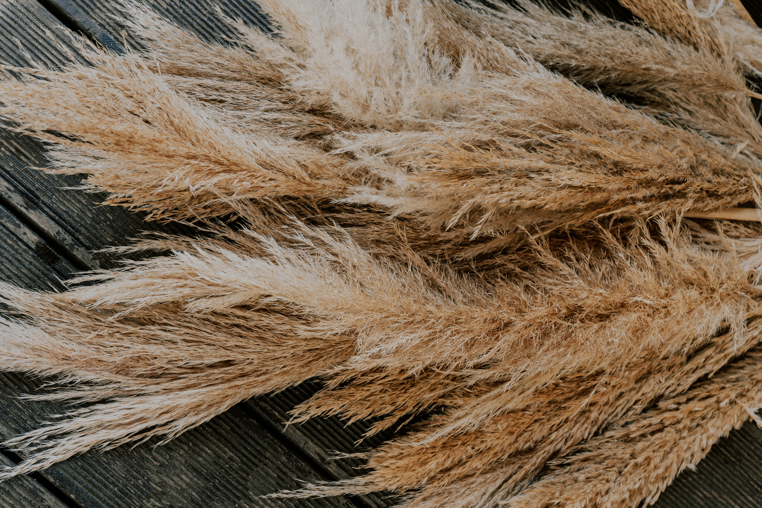 Costa soleggiata 09.09 @Julie_vershinia bazakomandor.ru. Love & Live photographer Злата Акимова