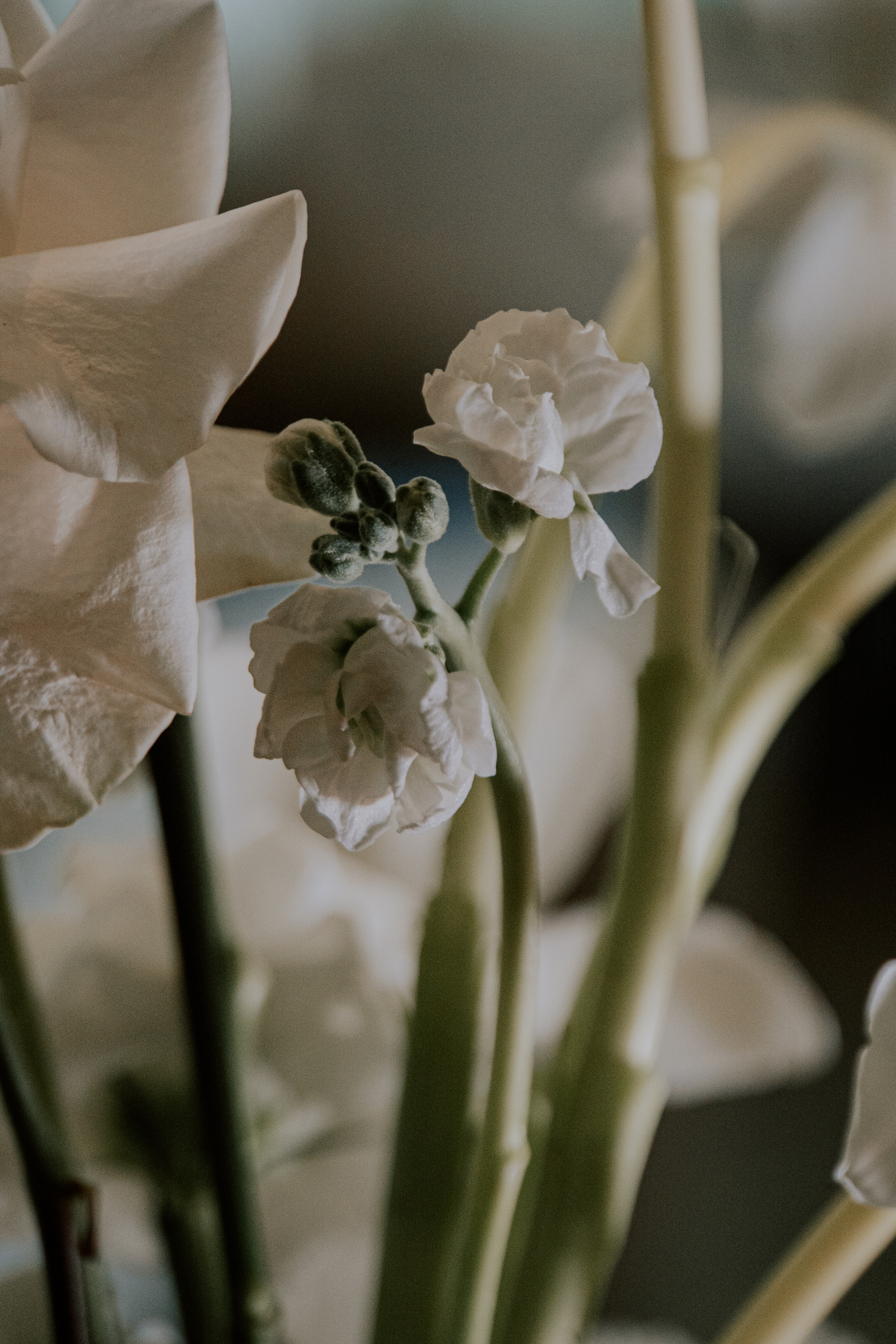 Verde e bianco 01.09 @Pro.Sto.Decor mzerest.com. Love & Live photographer Злата Акимова