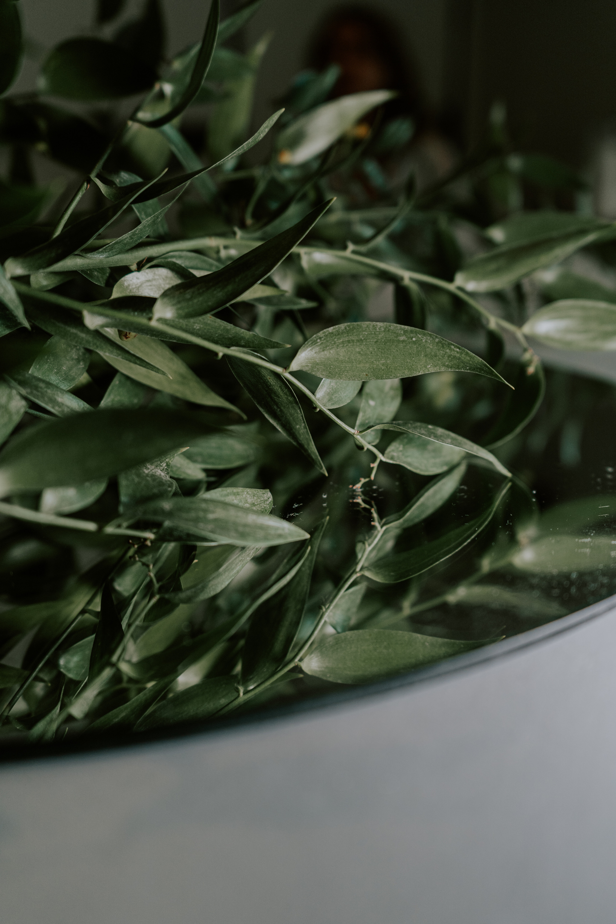 Verde e bianco 01.09 @Pro.Sto.Decor mzerest.com. Love & Live photographer Злата Акимова