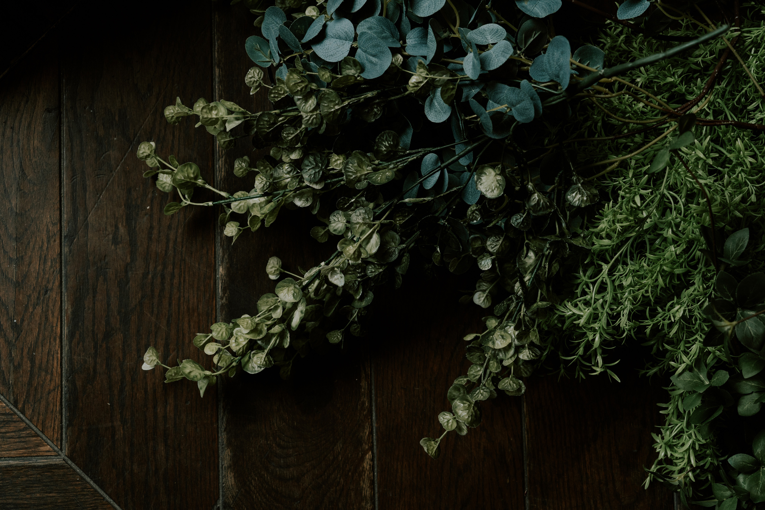 Verde e bianco 01.09 @Pro.Sto.Decor mzerest.com. Love & Live photographer Злата Акимова