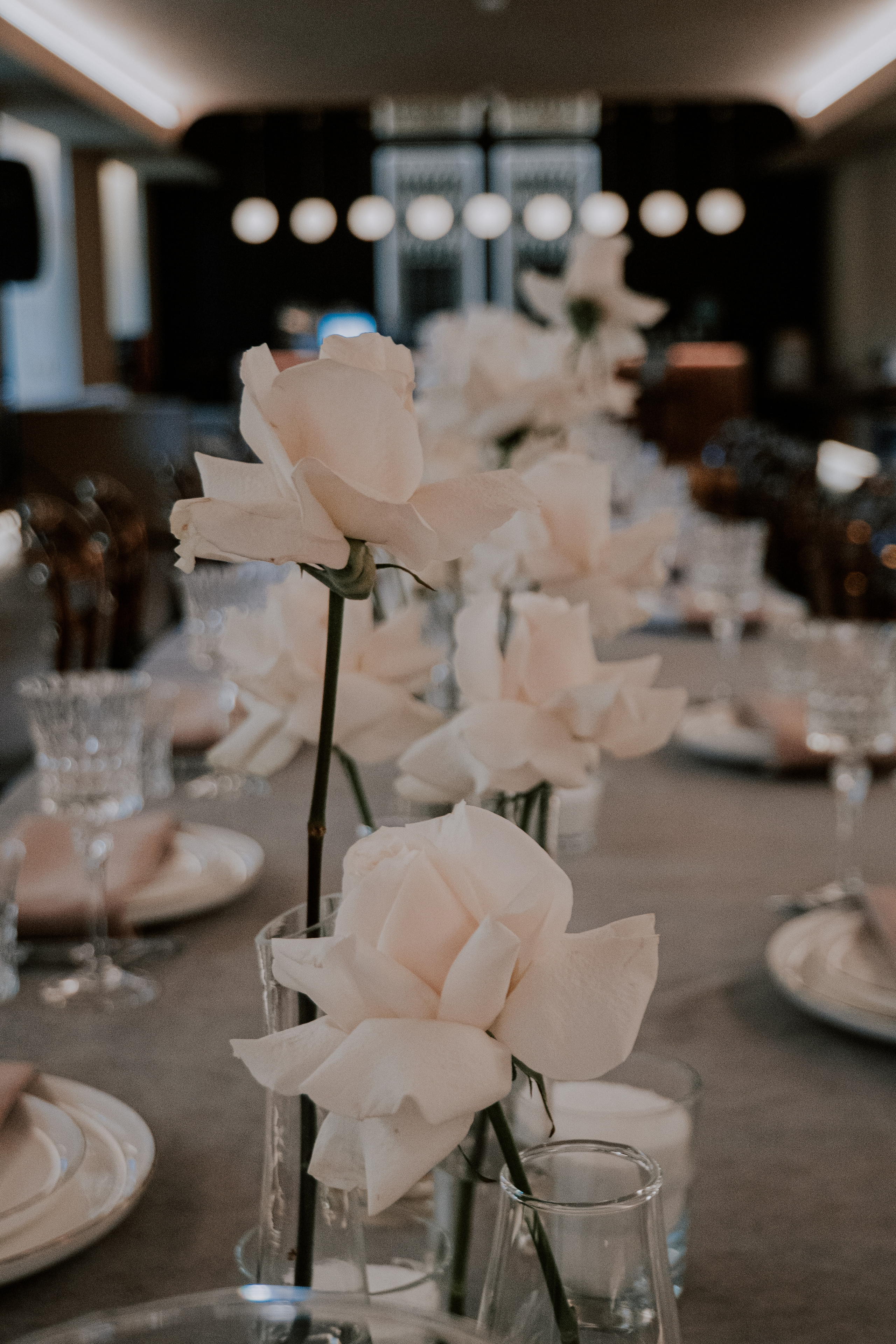 Красивый праздничный ужин в ресторане Сезоны в Парке. Love & Live photographer Злата Акимова