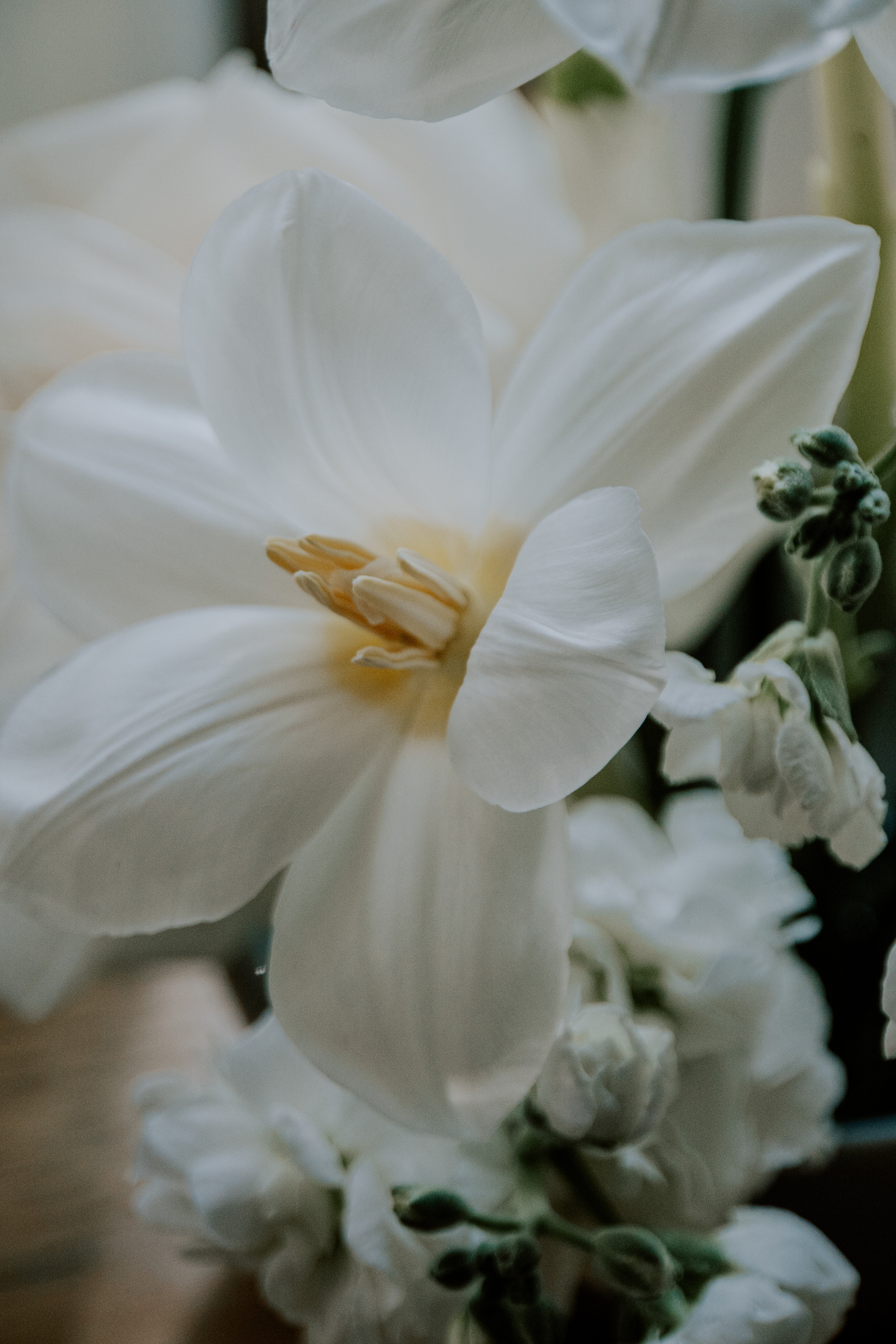 Verde e bianco 01.09 @Pro.Sto.Decor mzerest.com. Love & Live photographer Злата Акимова