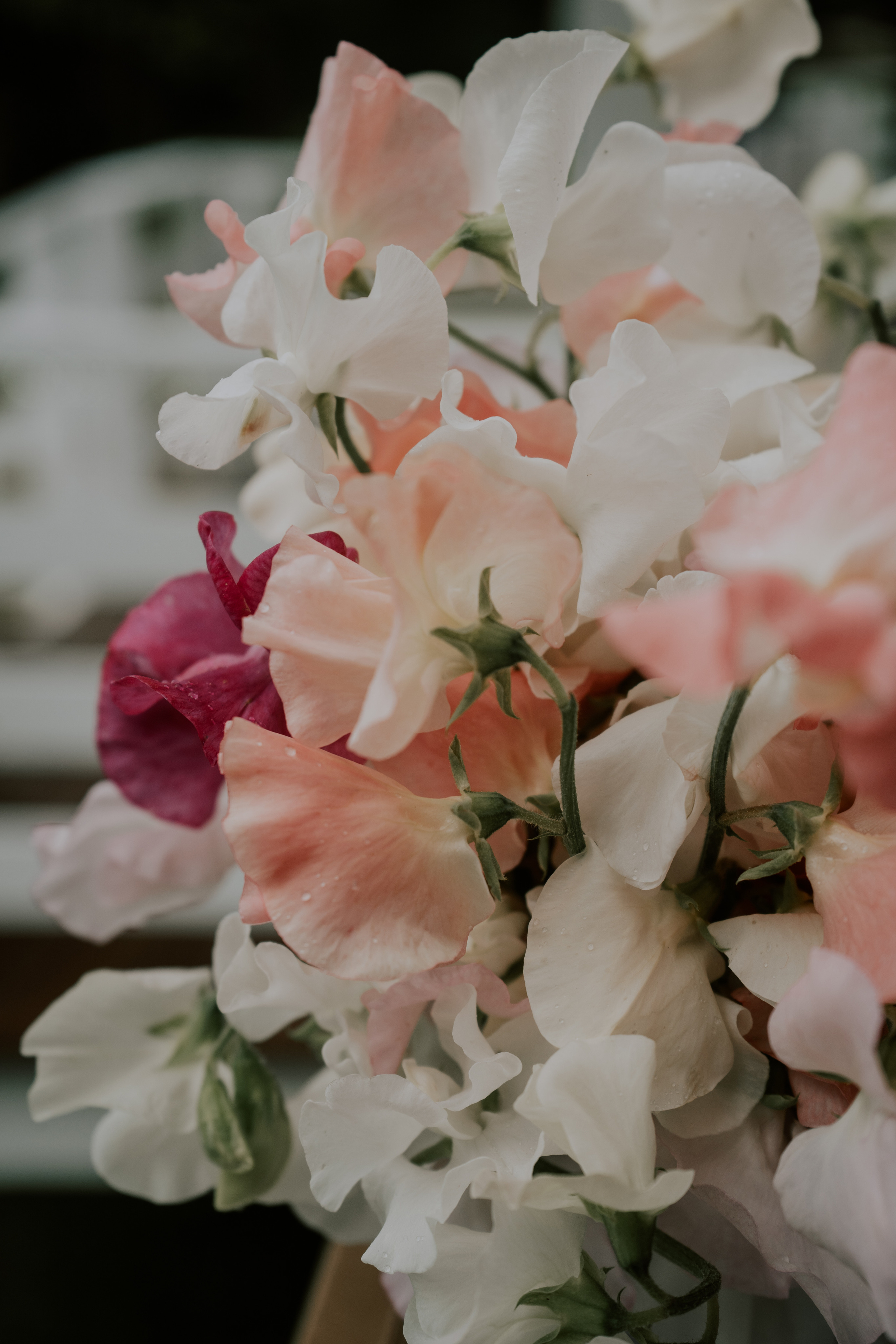 Elegante India Иван & Ольга 04.08. Love & Live photographer Злата Акимова