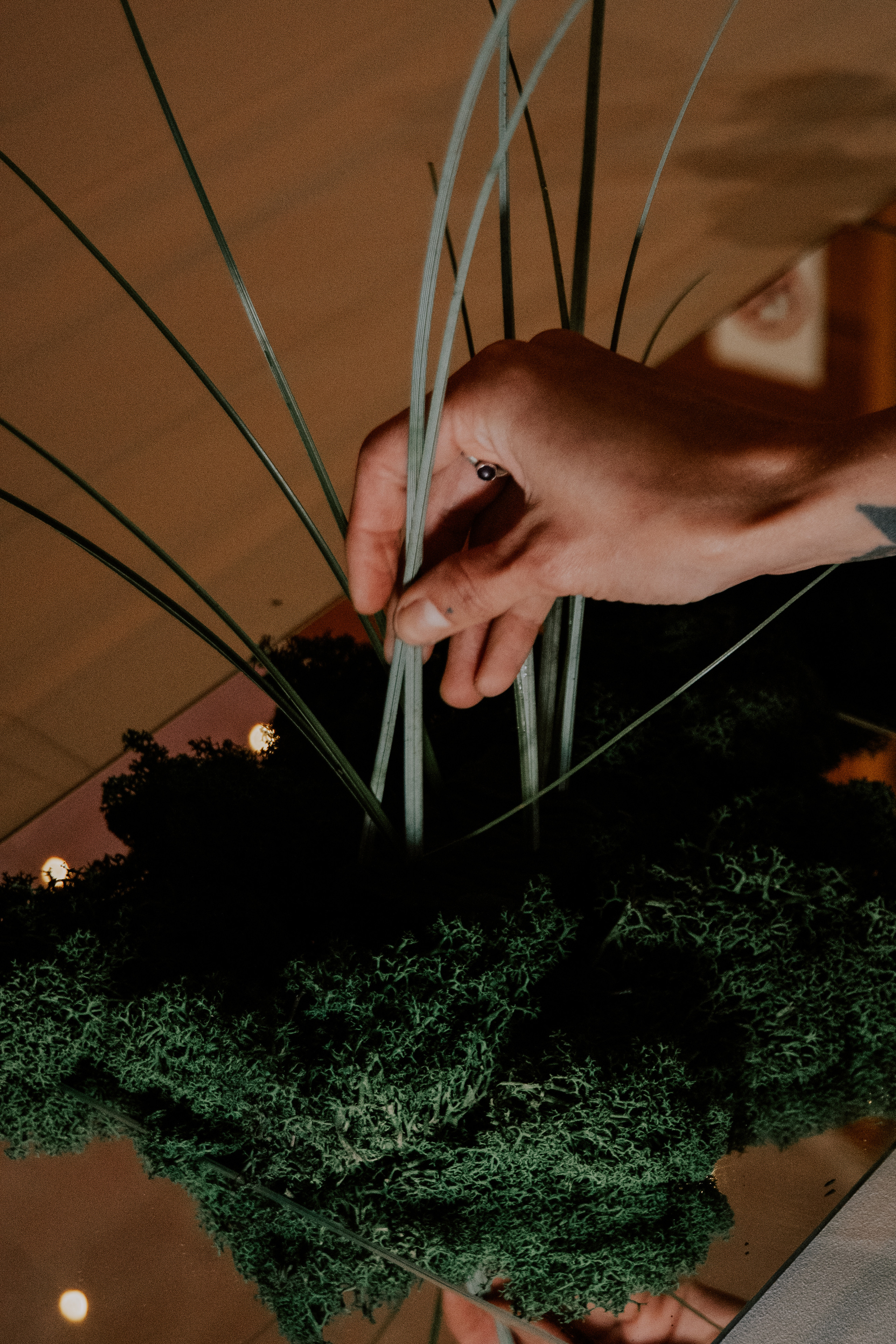 Costa soleggiata 09.09 @Julie_vershinia bazakomandor.ru. Love & Live photographer Злата Акимова