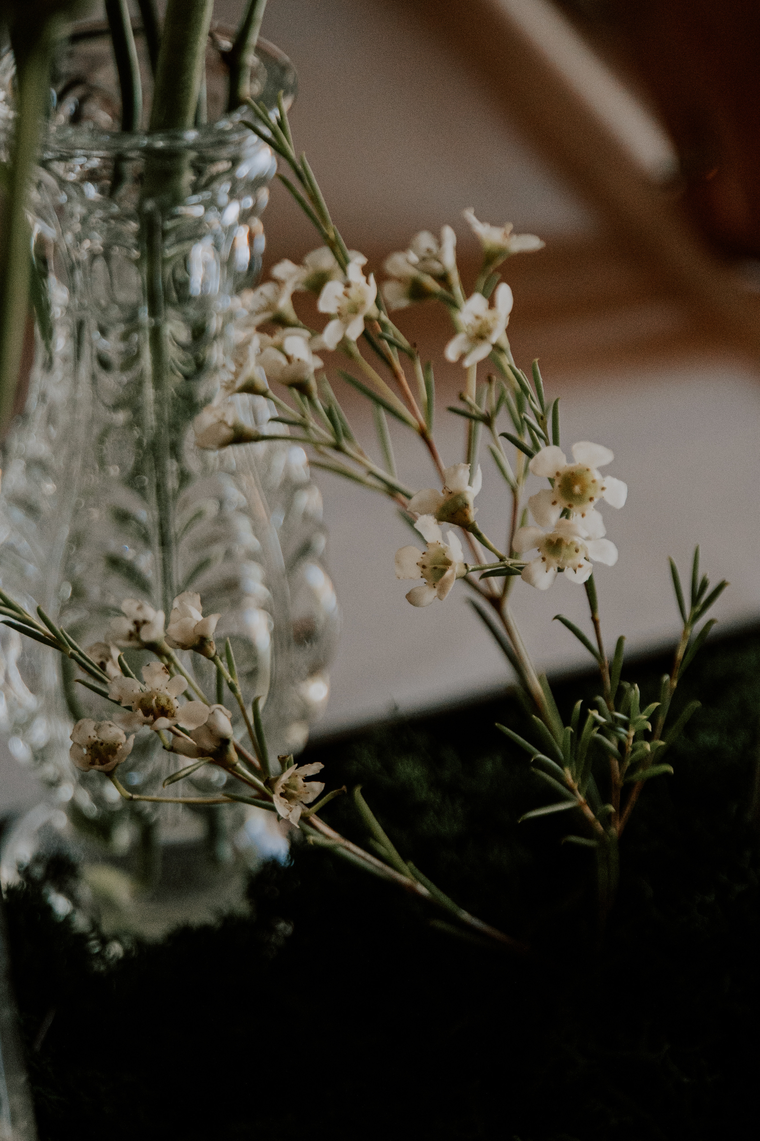 Costa soleggiata 09.09 @Julie_vershinia bazakomandor.ru. Love & Live photographer Злата Акимова