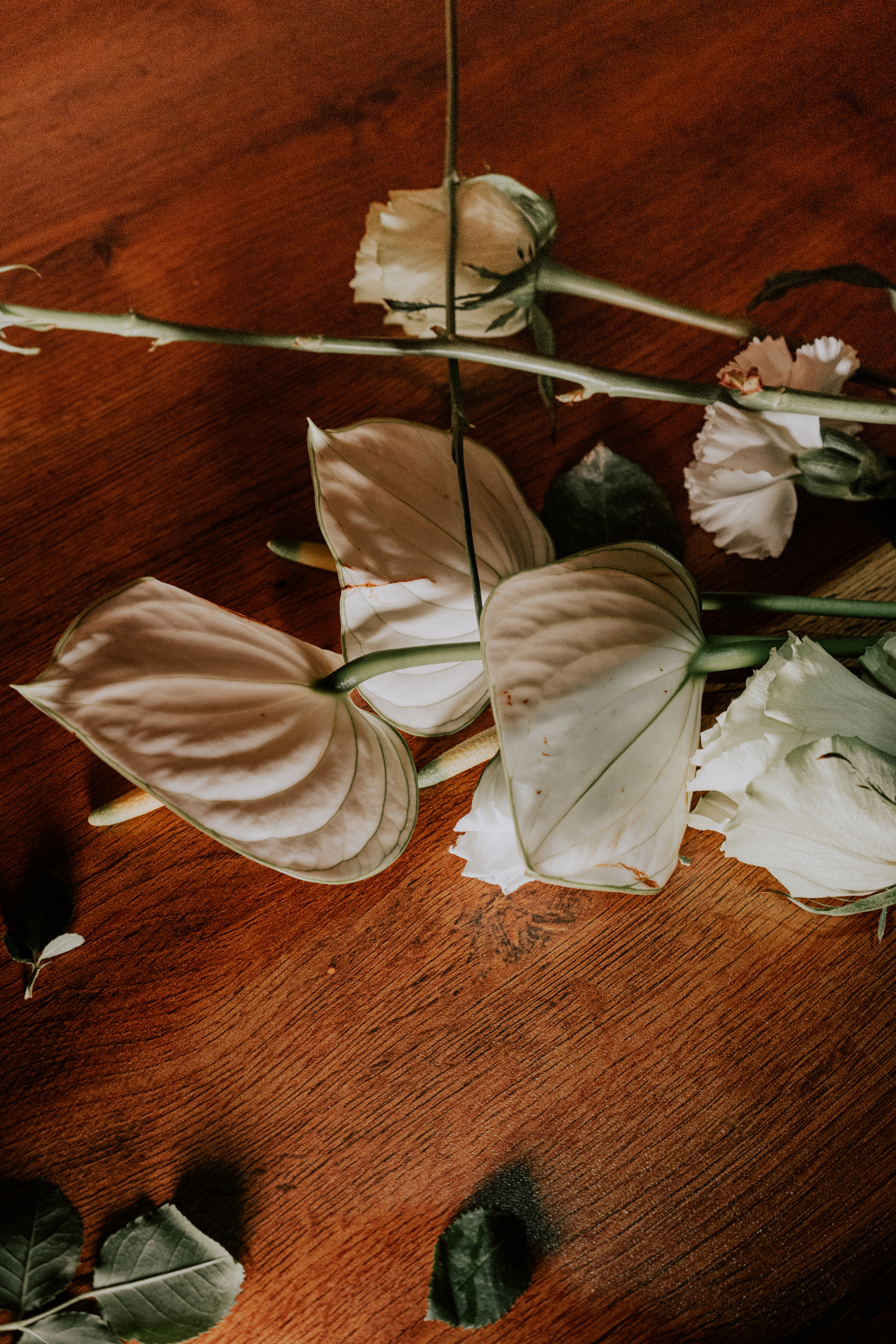 Costa soleggiata 09.09 @Julie_vershinia bazakomandor.ru. Love & Live photographer Злата Акимова