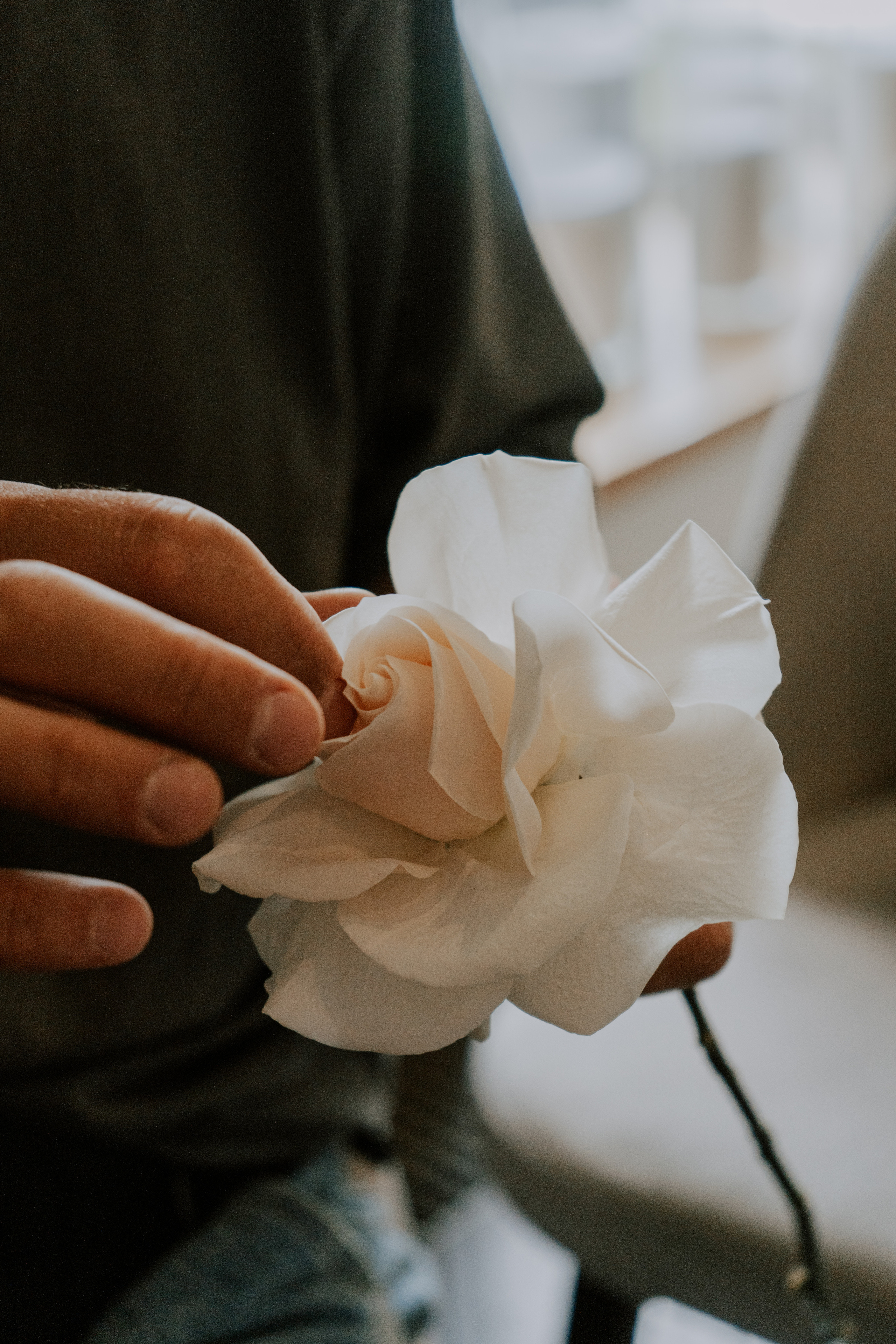 Verde e bianco 01.09 @Pro.Sto.Decor mzerest.com. Love & Live photographer Злата Акимова