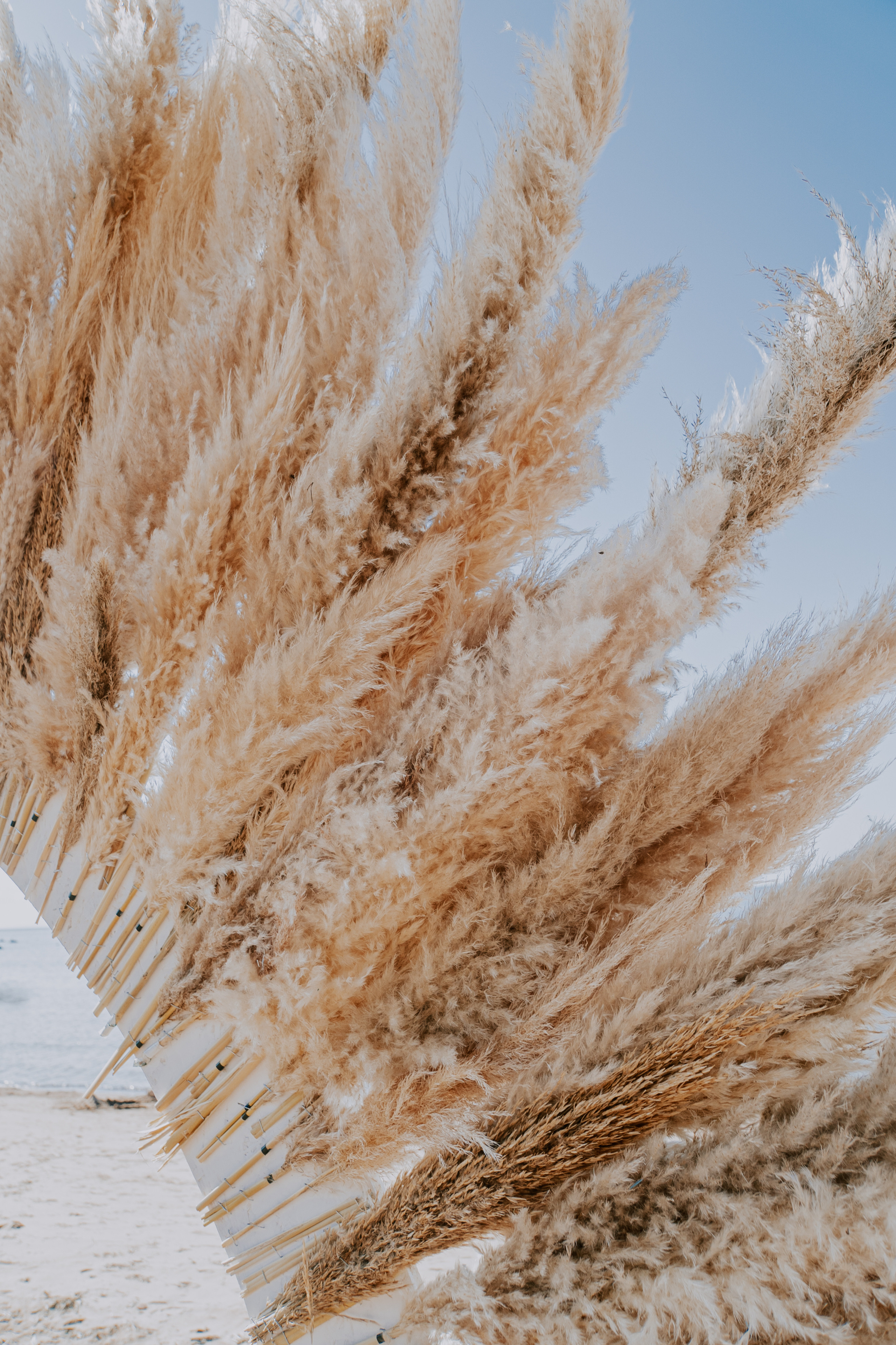 Costa soleggiata 09.09 @Julie_vershinia bazakomandor.ru. Love & Live photographer Злата Акимова