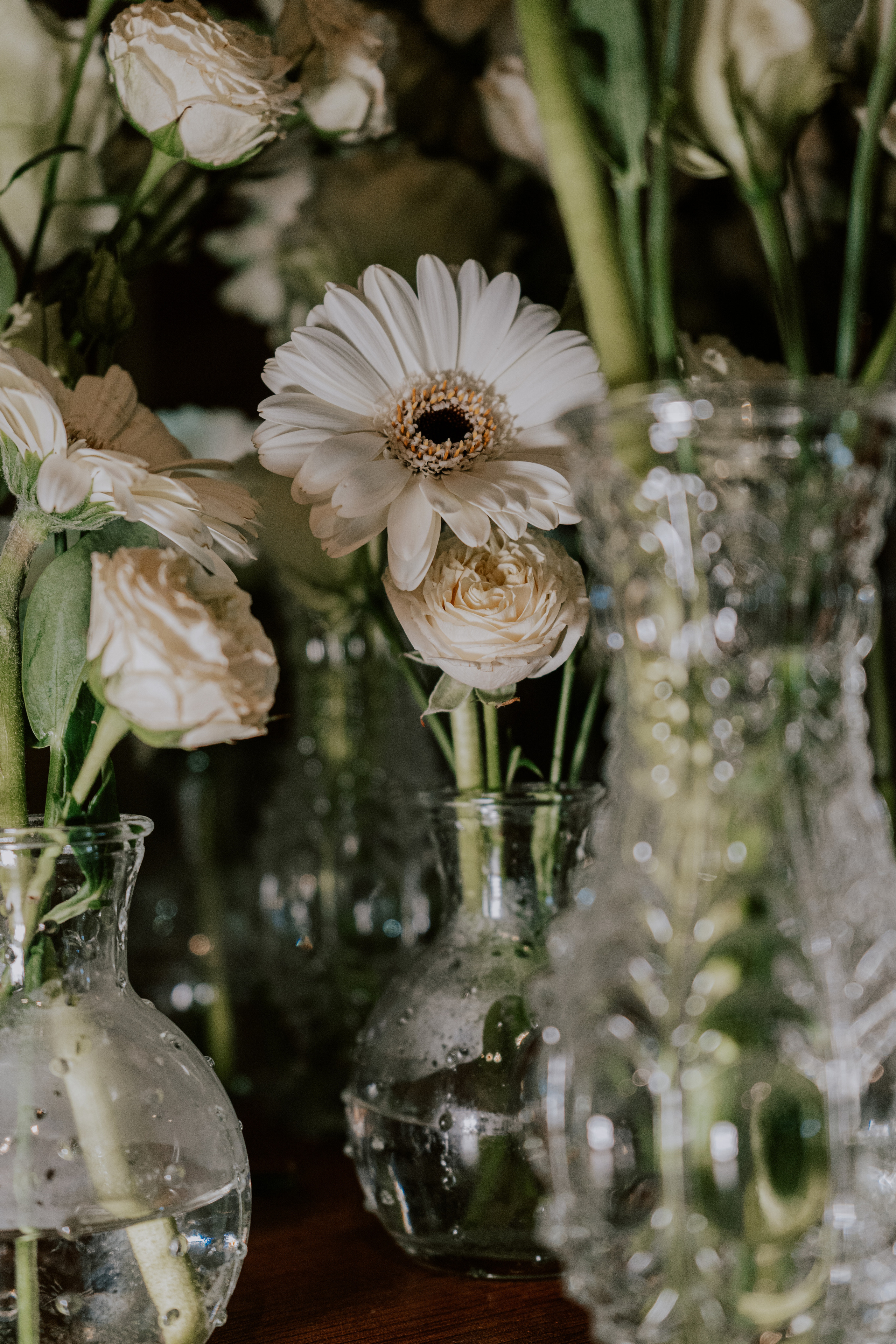 Costa soleggiata 09.09 @Julie_vershinia bazakomandor.ru. Love & Live photographer Злата Акимова