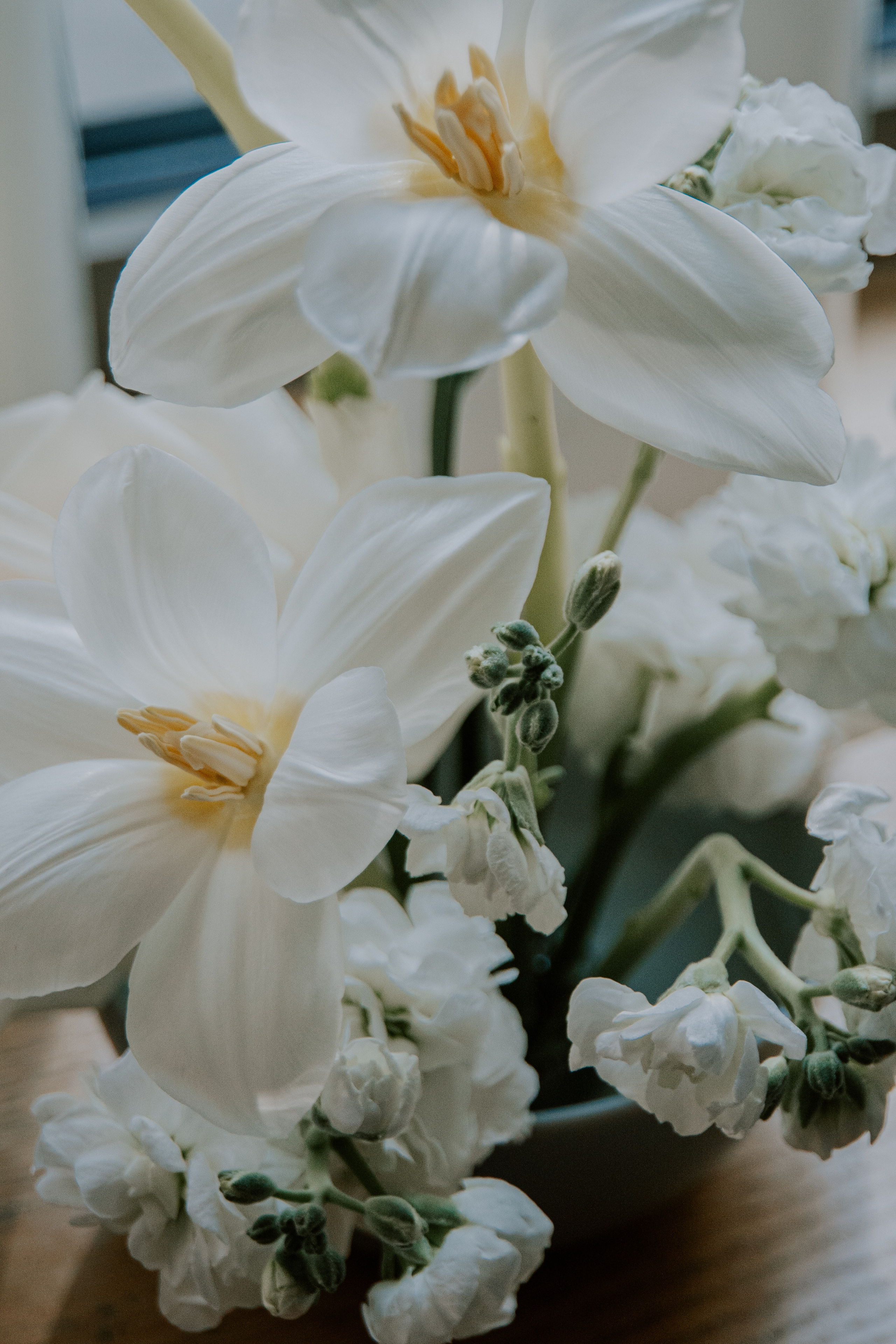 Verde e bianco 01.09 @Pro.Sto.Decor mzerest.com. Love & Live photographer Злата Акимова