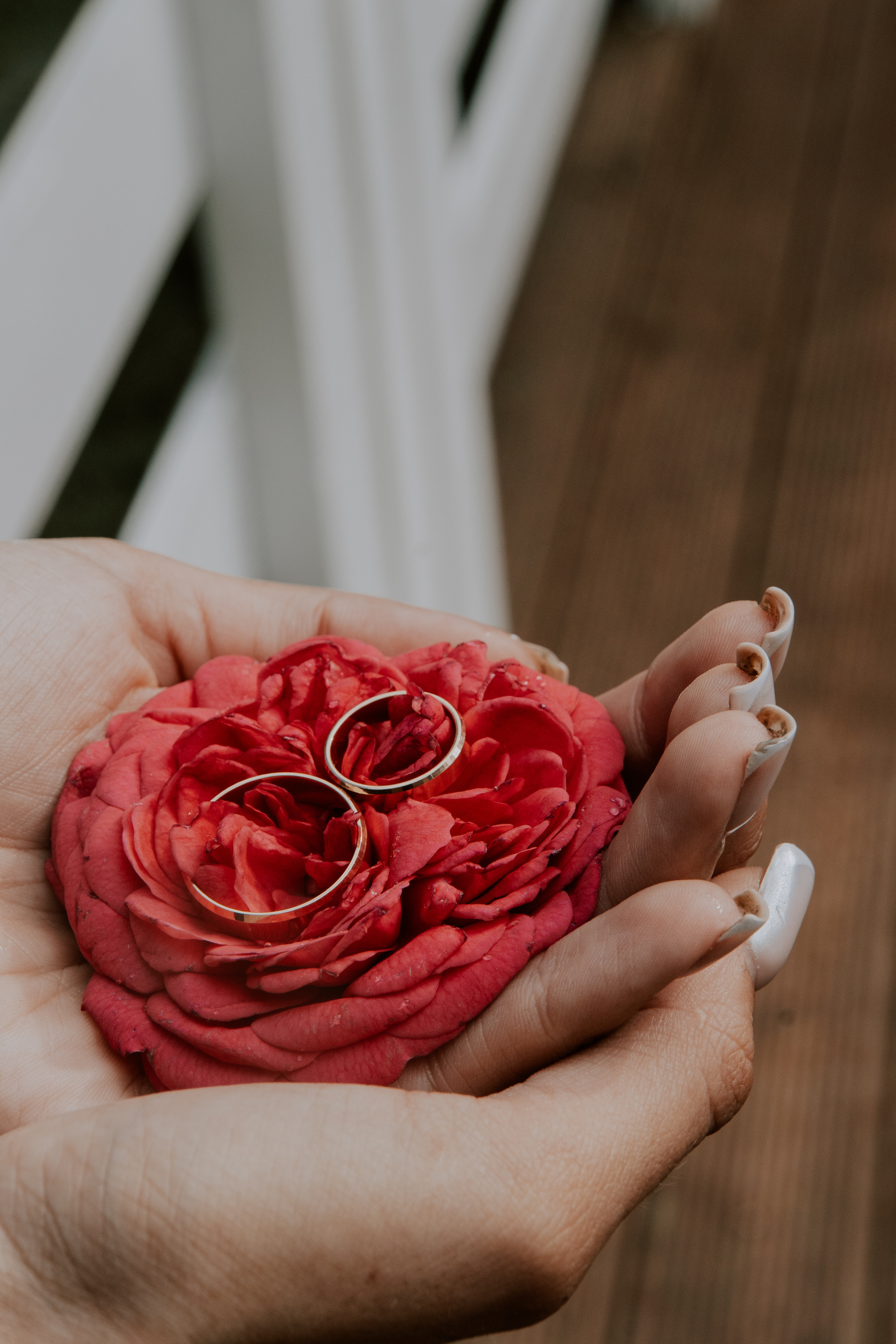 Elegante India Иван & Ольга 04.08. Love & Live photographer Злата Акимова