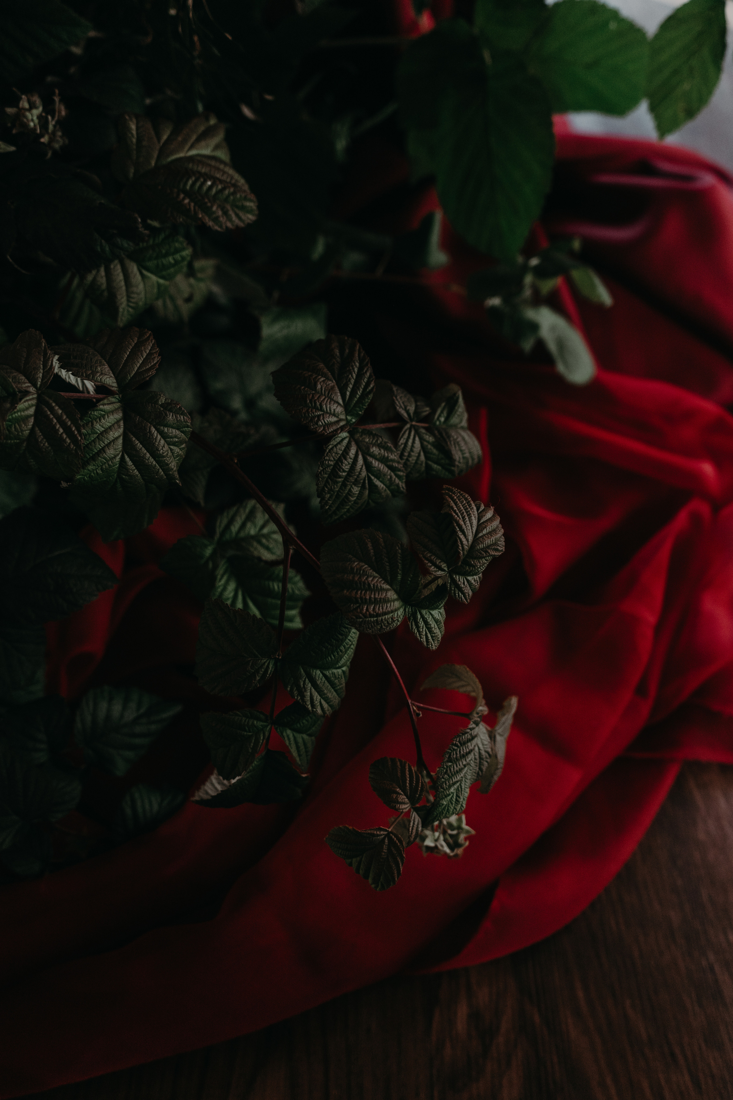 Matrimonio Bordeaux 26.09 @Pro.Sto.Decor vesenniy.com. Love & Live photographer Злата Акимова