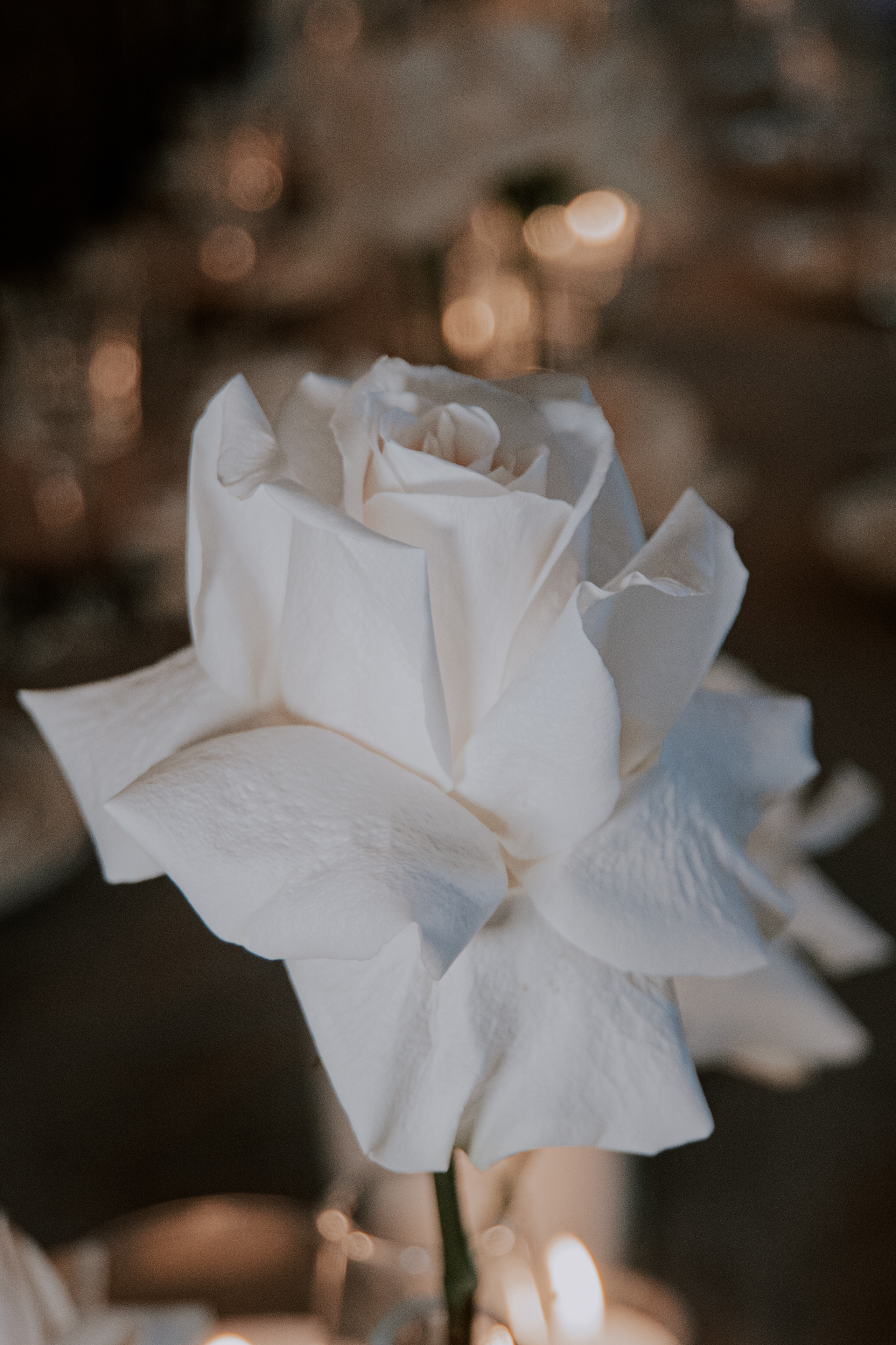 Красивый праздничный ужин в ресторане Сезоны в Парке. Love & Live photographer Злата Акимова