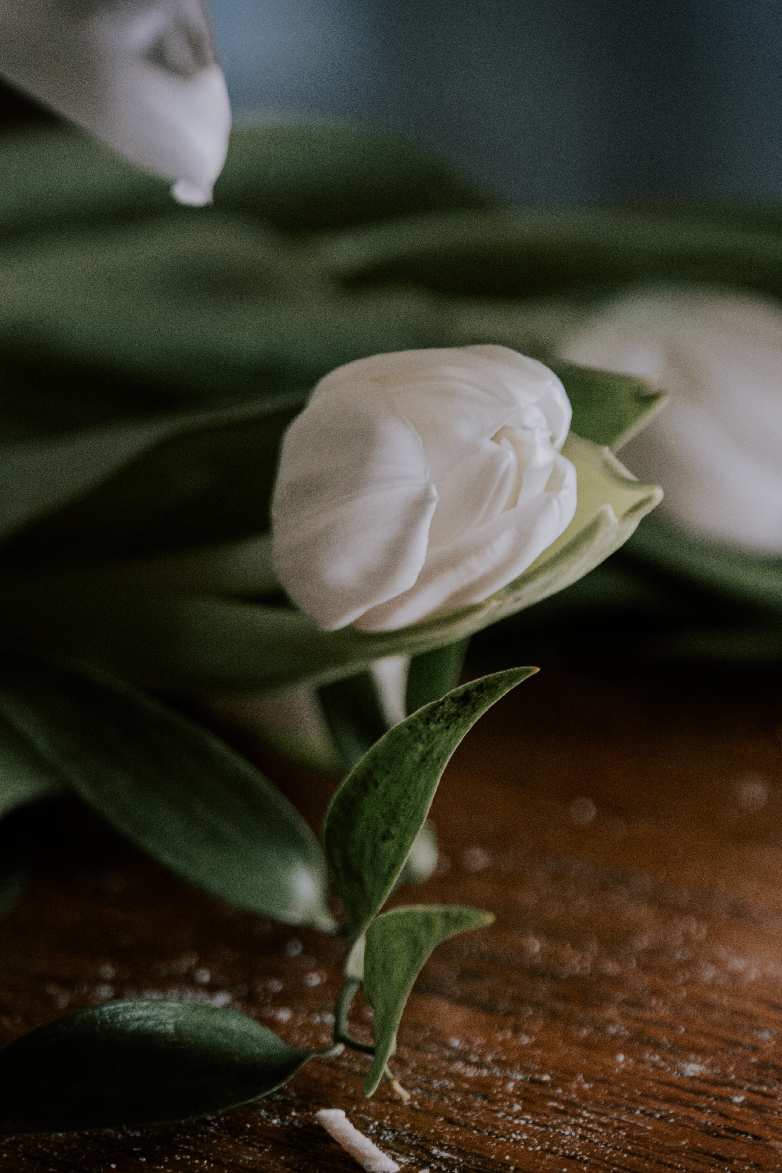 Verde e bianco 01.09 @Pro.Sto.Decor mzerest.com. Love & Live photographer Злата Акимова