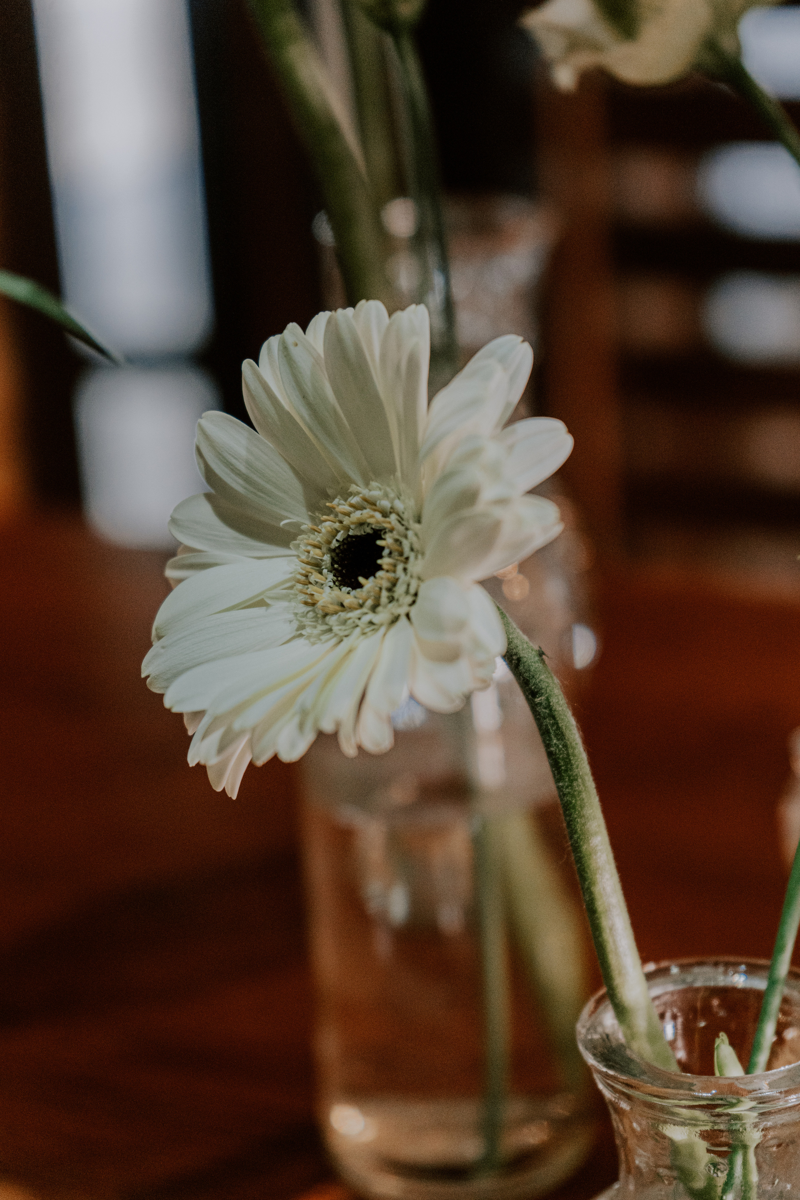 Costa soleggiata 09.09 @Julie_vershinia bazakomandor.ru. Love & Live photographer Злата Акимова