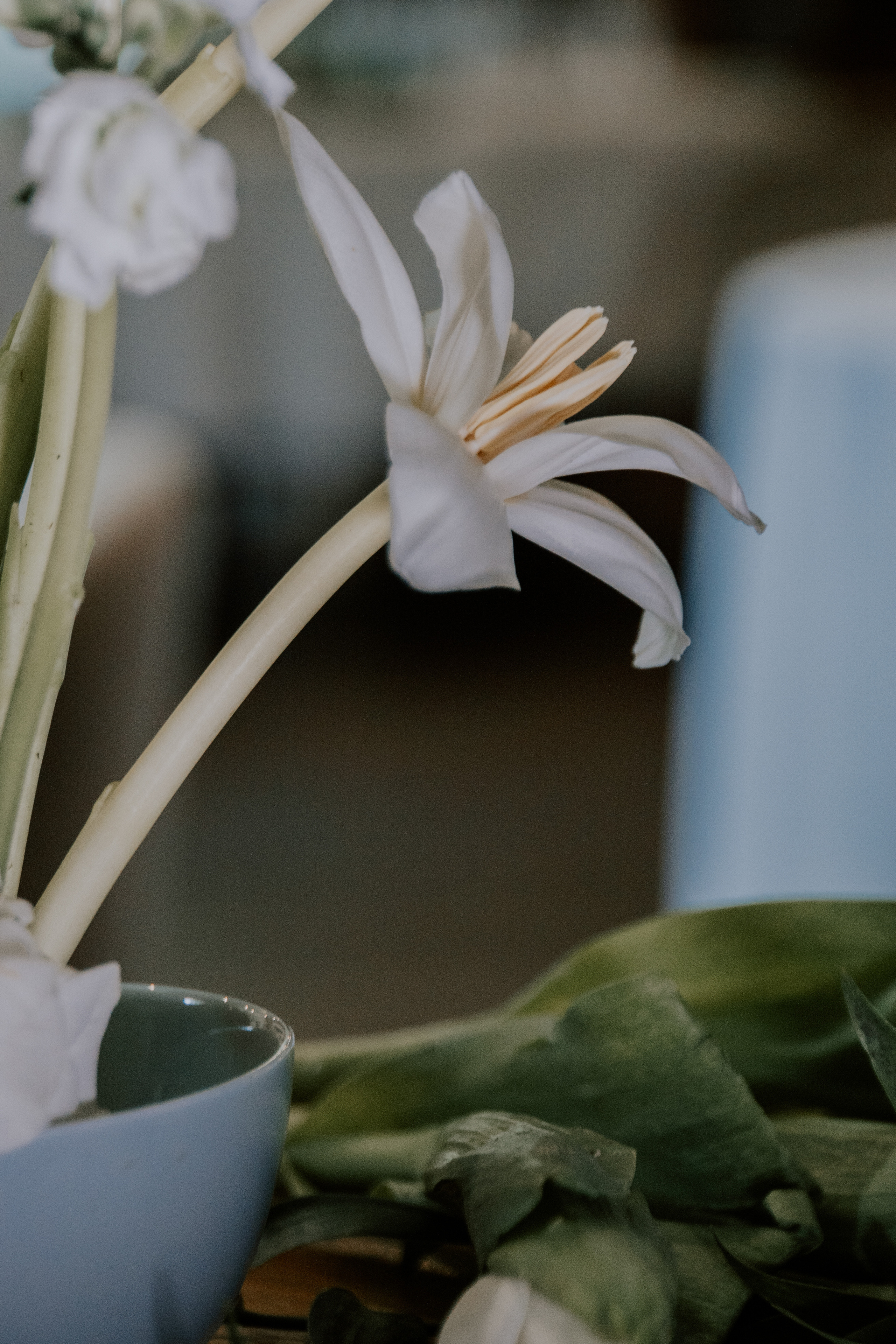 Verde e bianco 01.09 @Pro.Sto.Decor mzerest.com. Love & Live photographer Злата Акимова