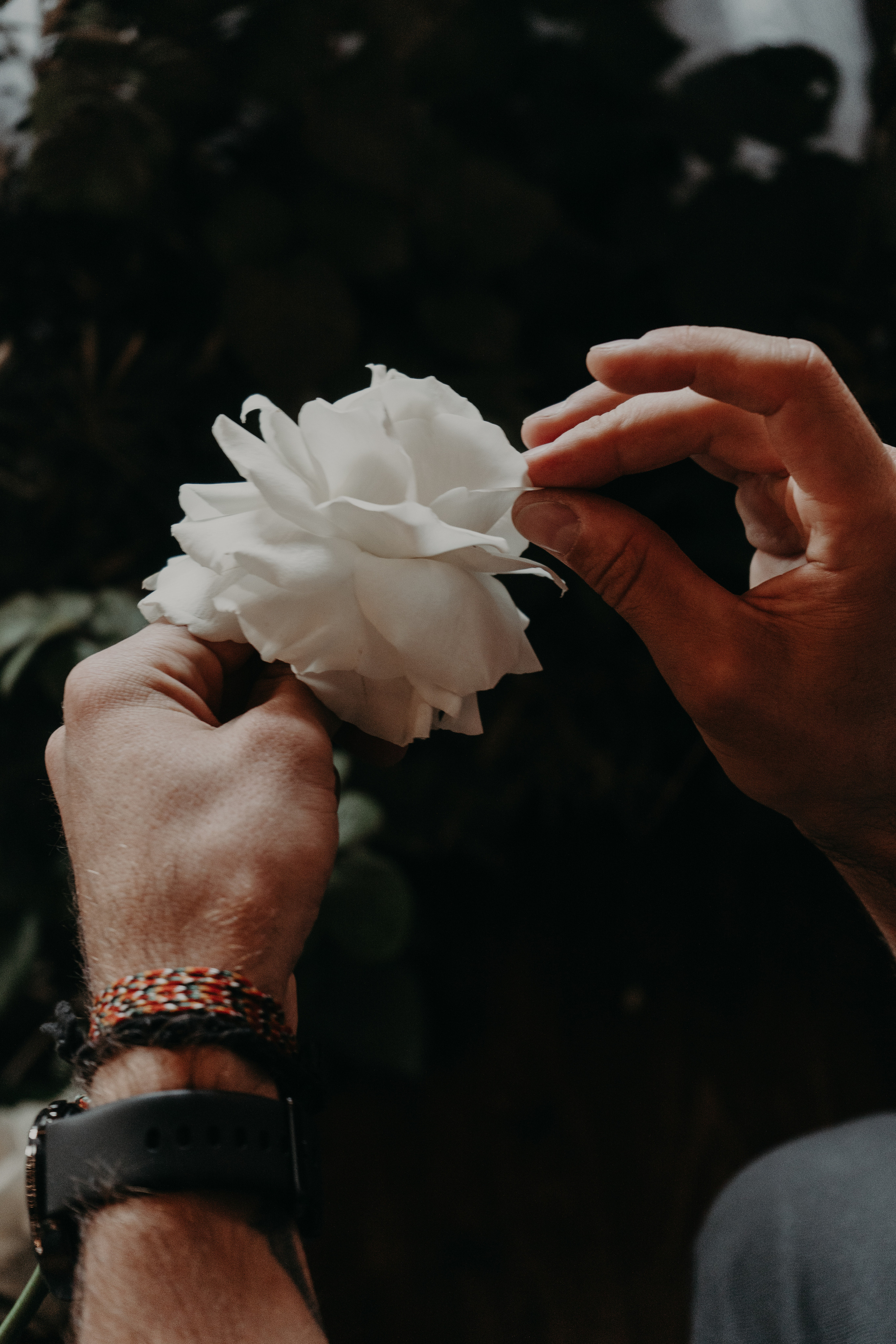 Matrimonio Bordeaux 26.09 @Pro.Sto.Decor vesenniy.com. Love & Live photographer Злата Акимова