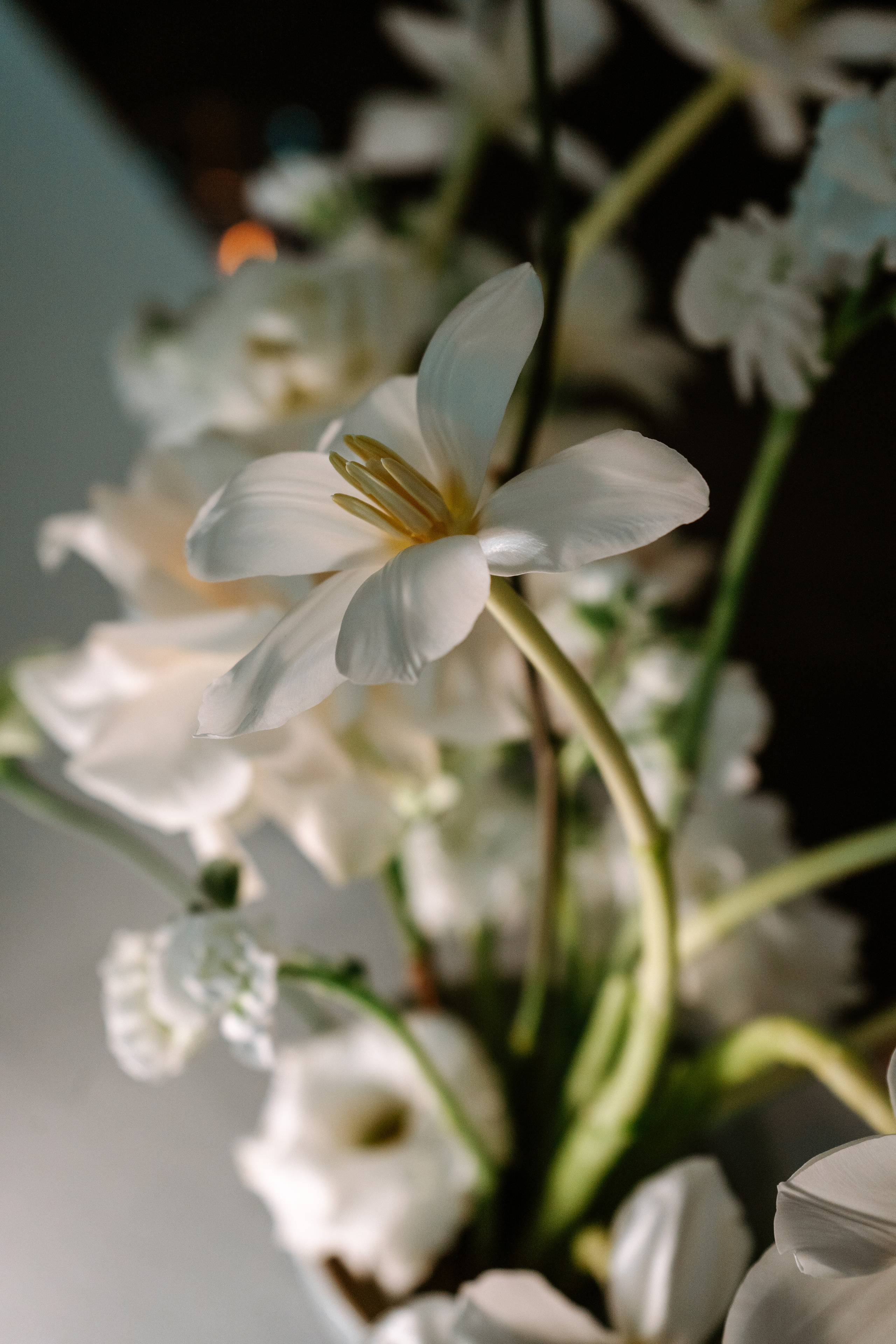 Verde e bianco 01.09 @Pro.Sto.Decor mzerest.com. Love & Live photographer Злата Акимова