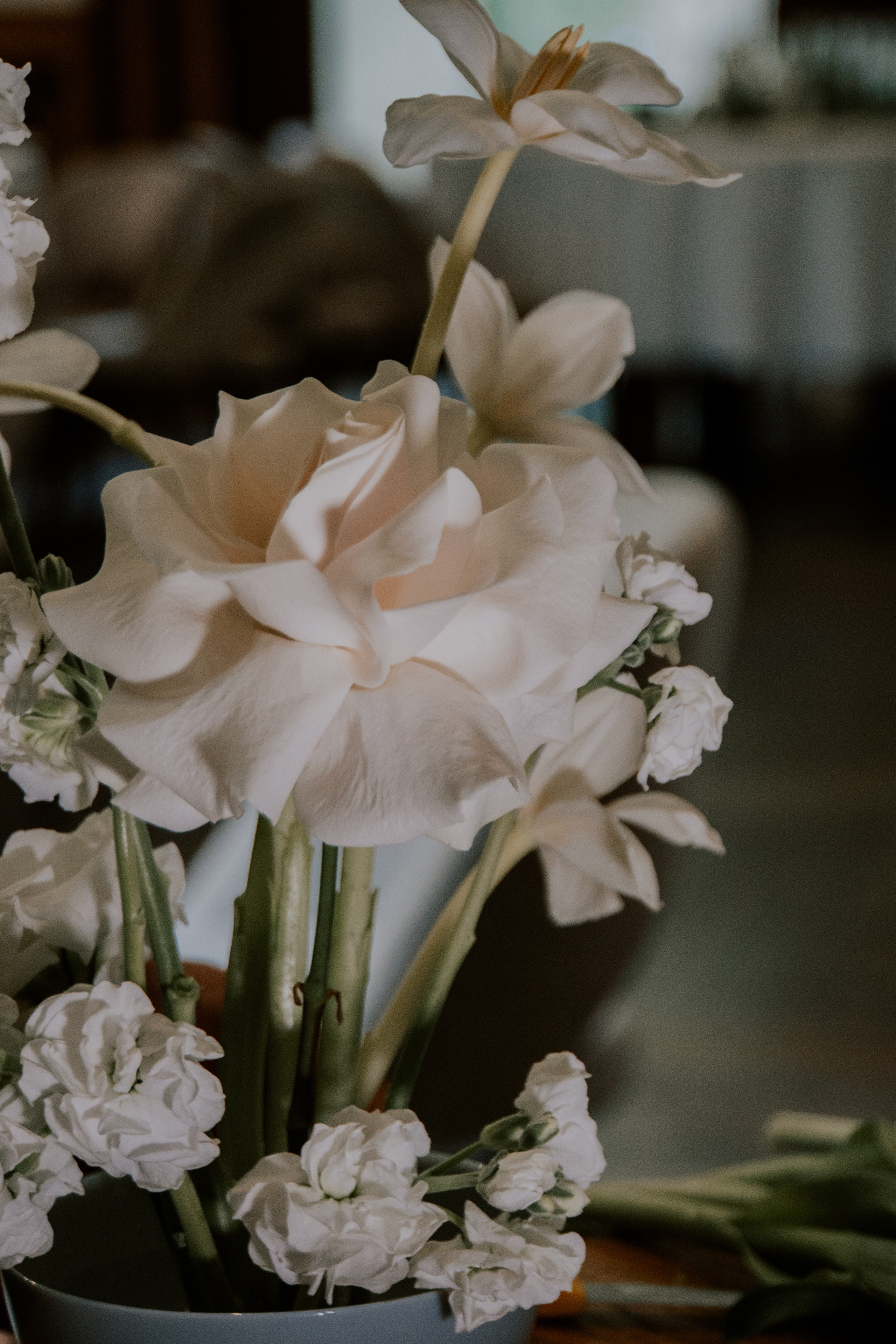 Verde e bianco 01.09 @Pro.Sto.Decor mzerest.com. Love & Live photographer Злата Акимова