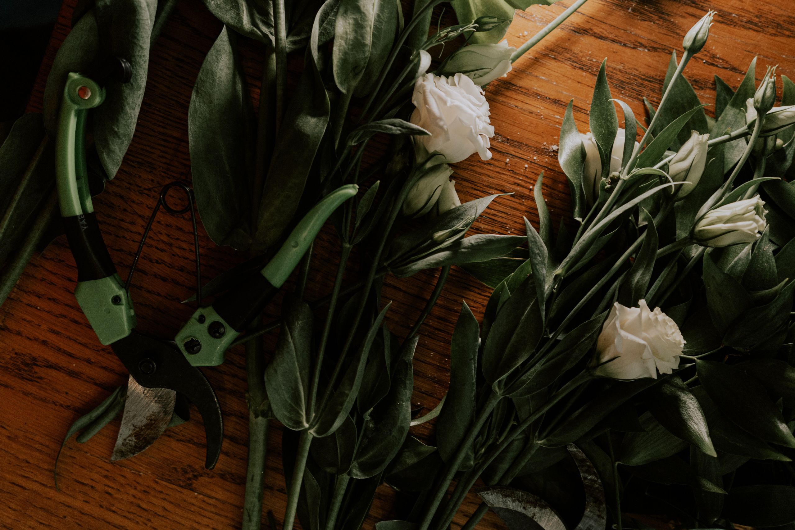 Verde e bianco 01.09 @Pro.Sto.Decor mzerest.com. Love & Live photographer Злата Акимова