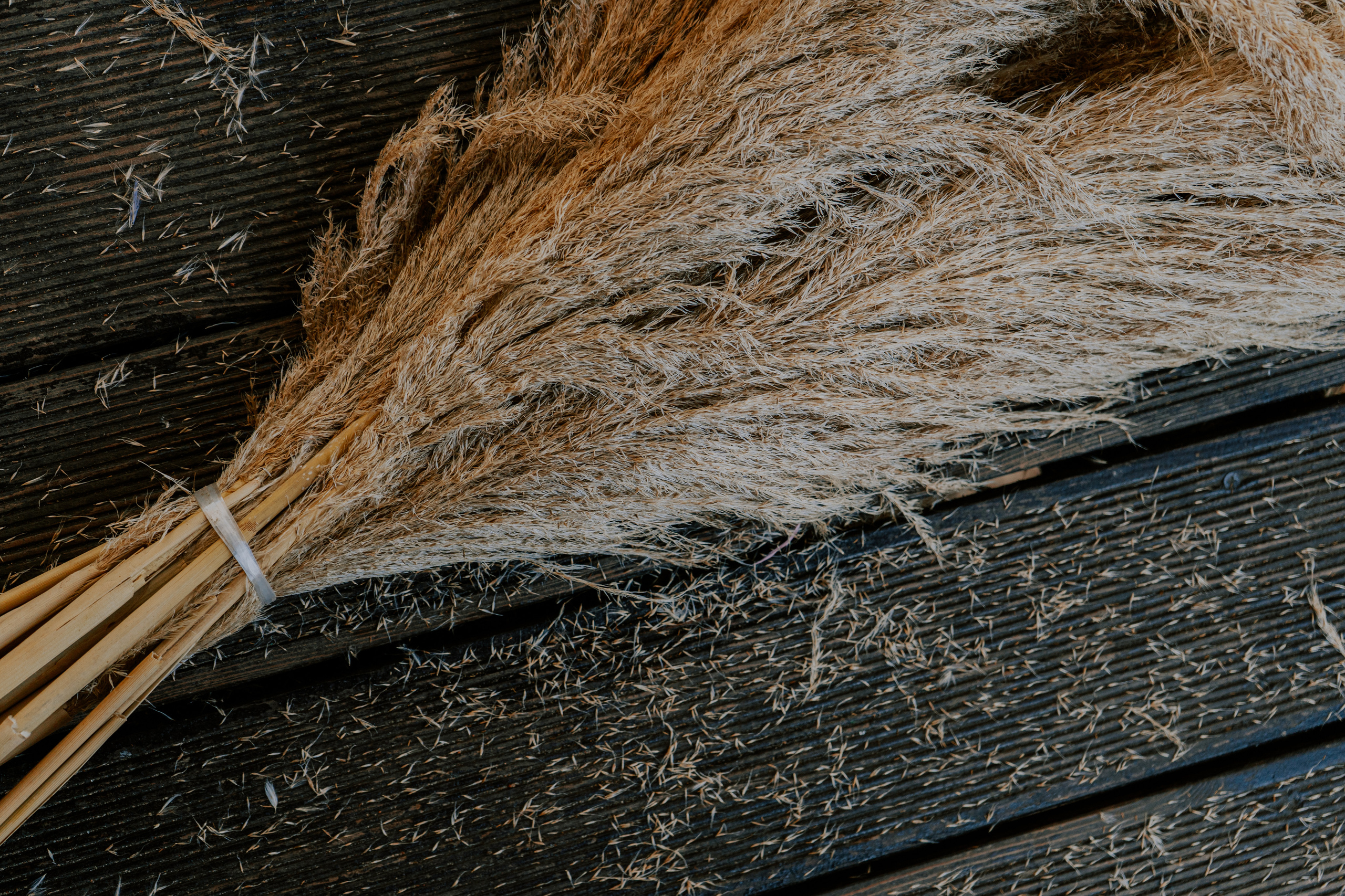 Costa soleggiata 09.09 @Julie_vershinia bazakomandor.ru. Love & Live photographer Злата Акимова