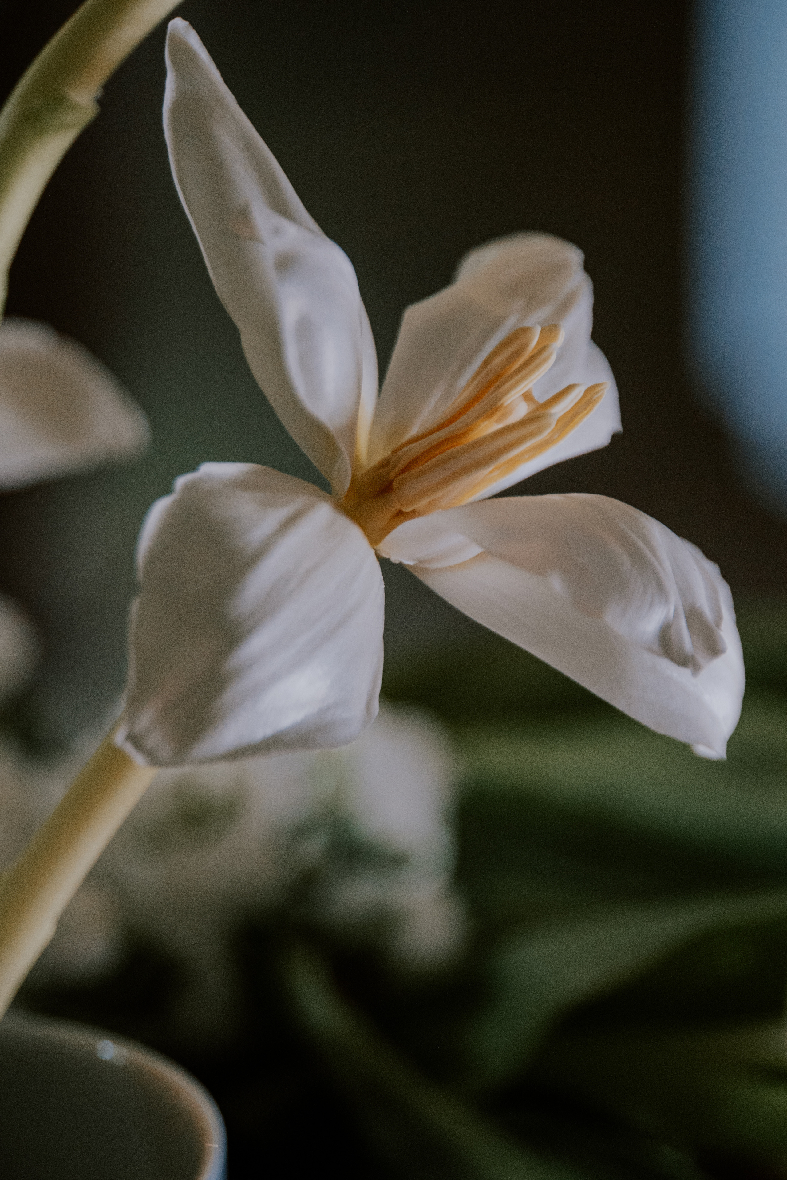 Verde e bianco 01.09 @Pro.Sto.Decor mzerest.com. Love & Live photographer Злата Акимова
